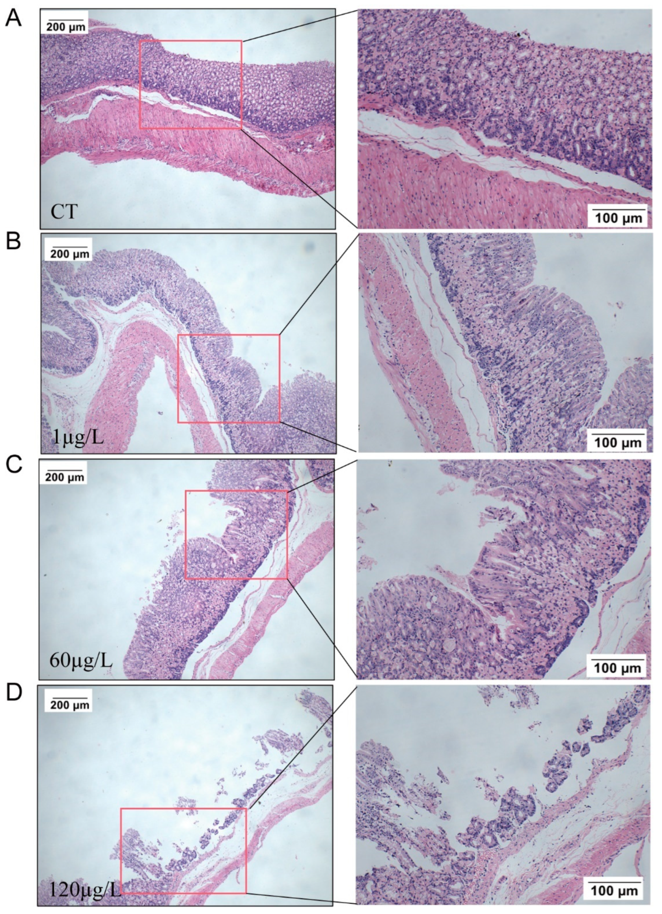 Toxins 15 00574 g003