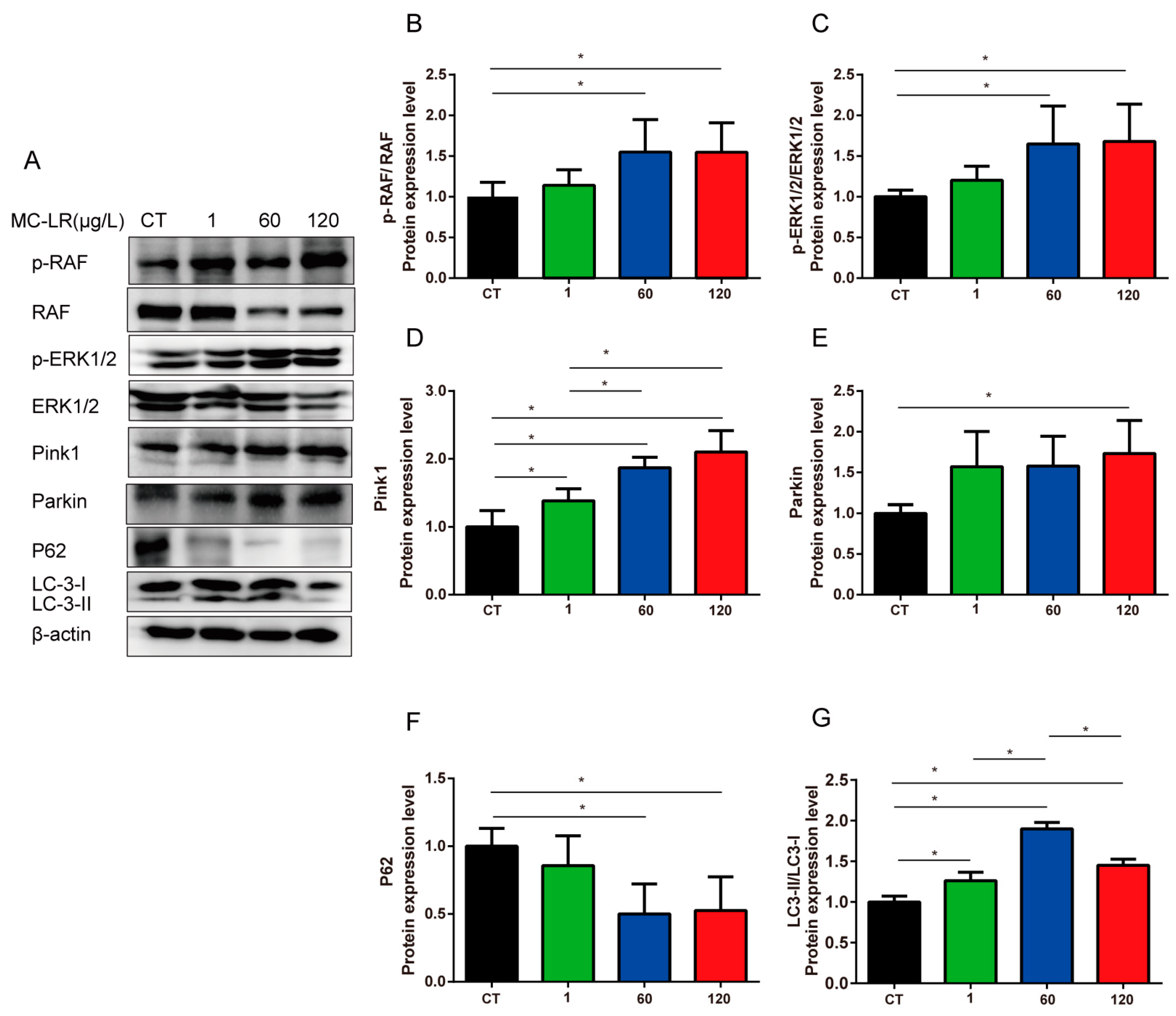 Toxins 15 00574 g006