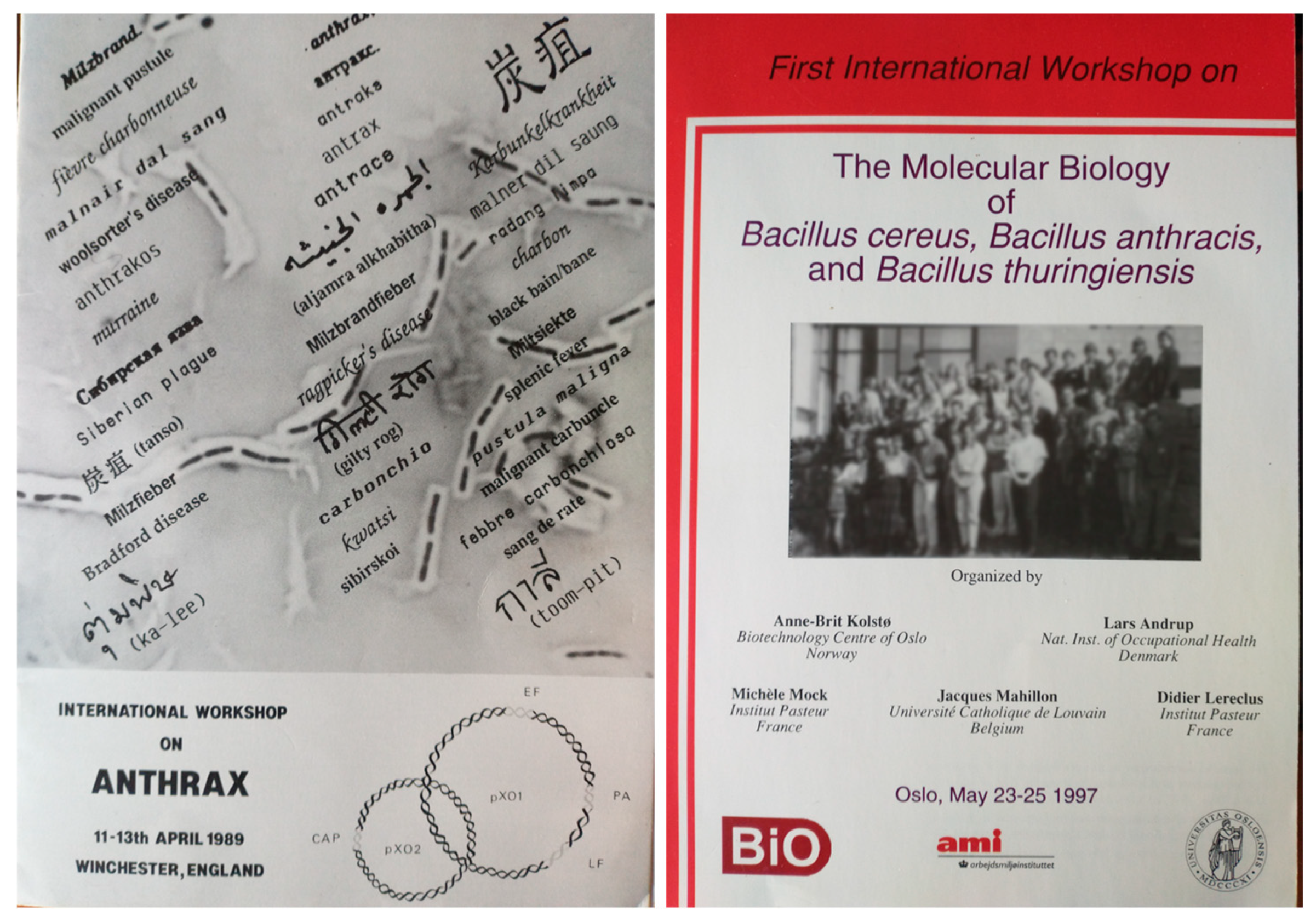 Toxins 16 00066 g011