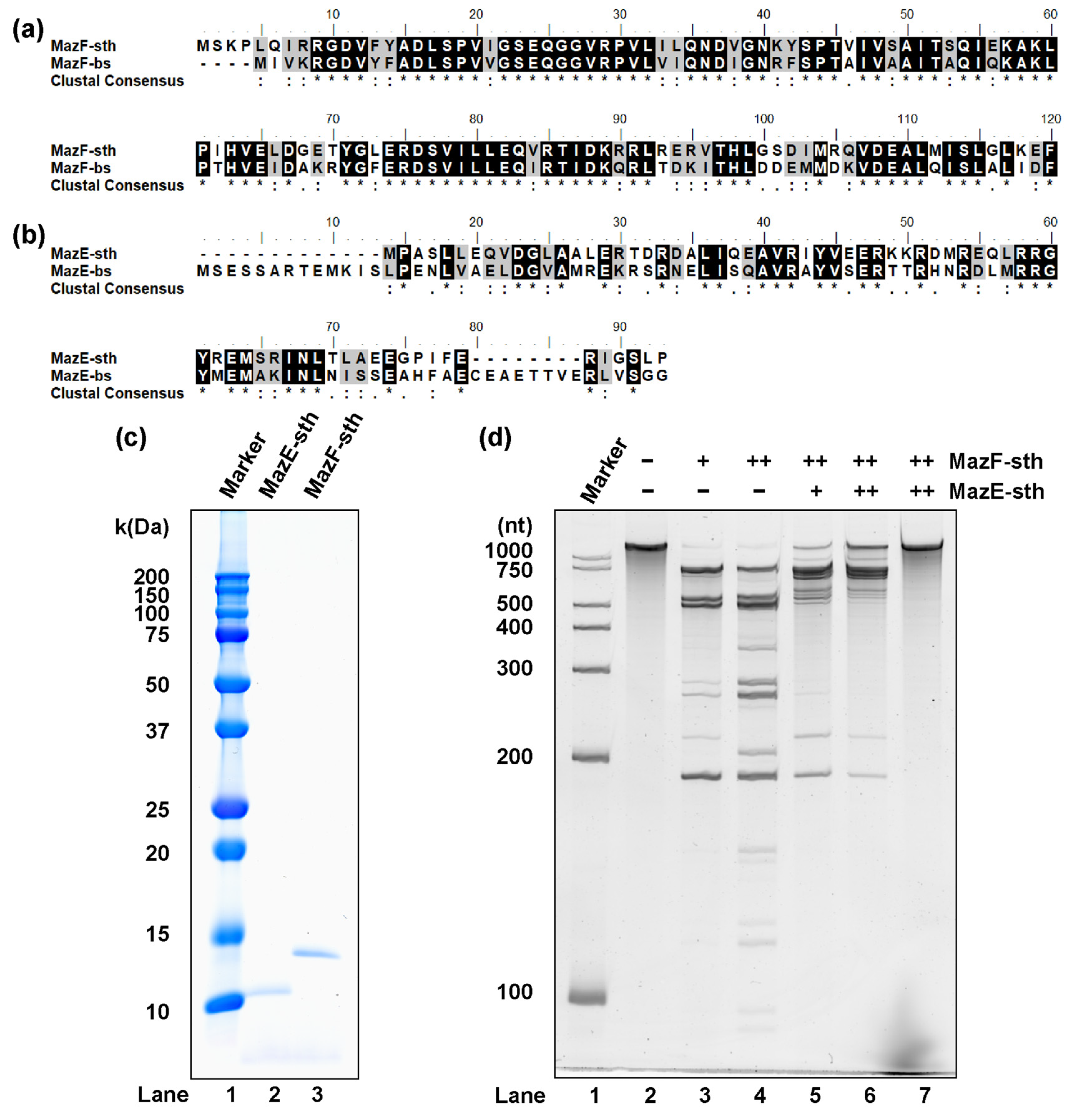 Toxins 16 00081 g001