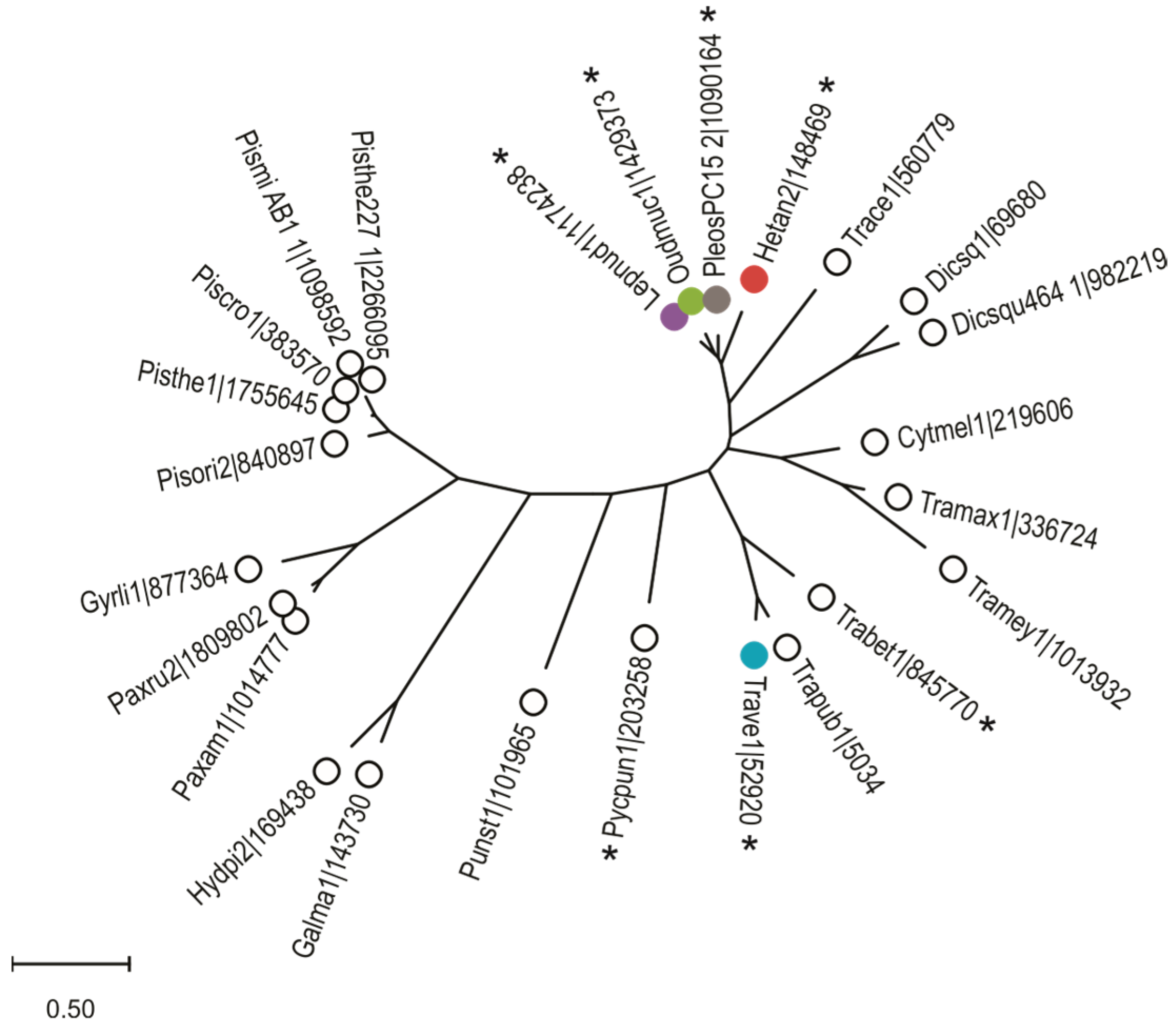 Toxins 16 00143 g001