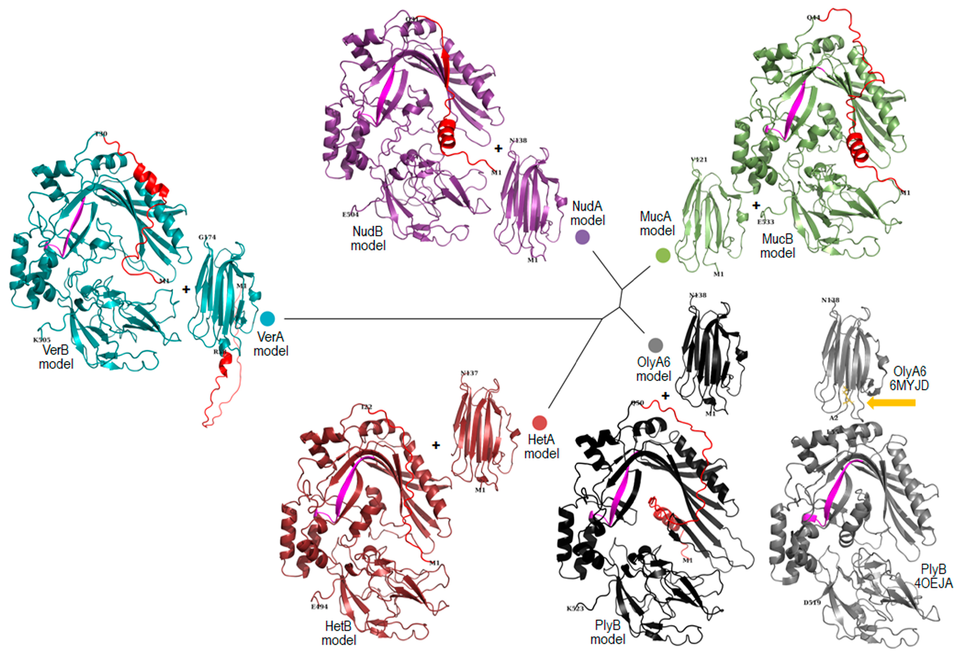 Toxins 16 00143 g002