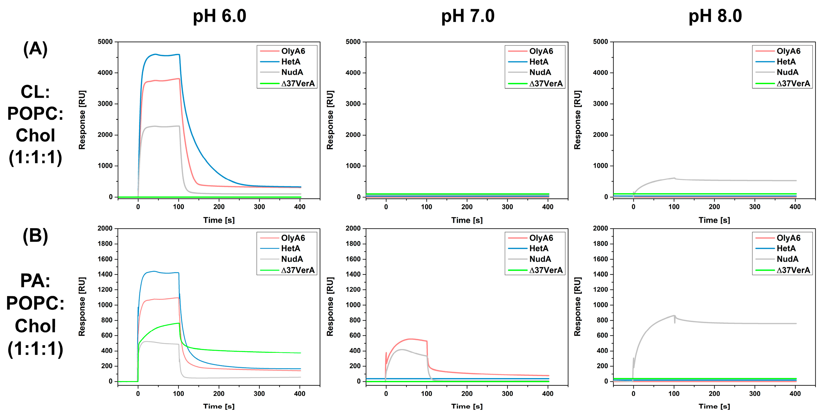 Toxins 16 00143 g006