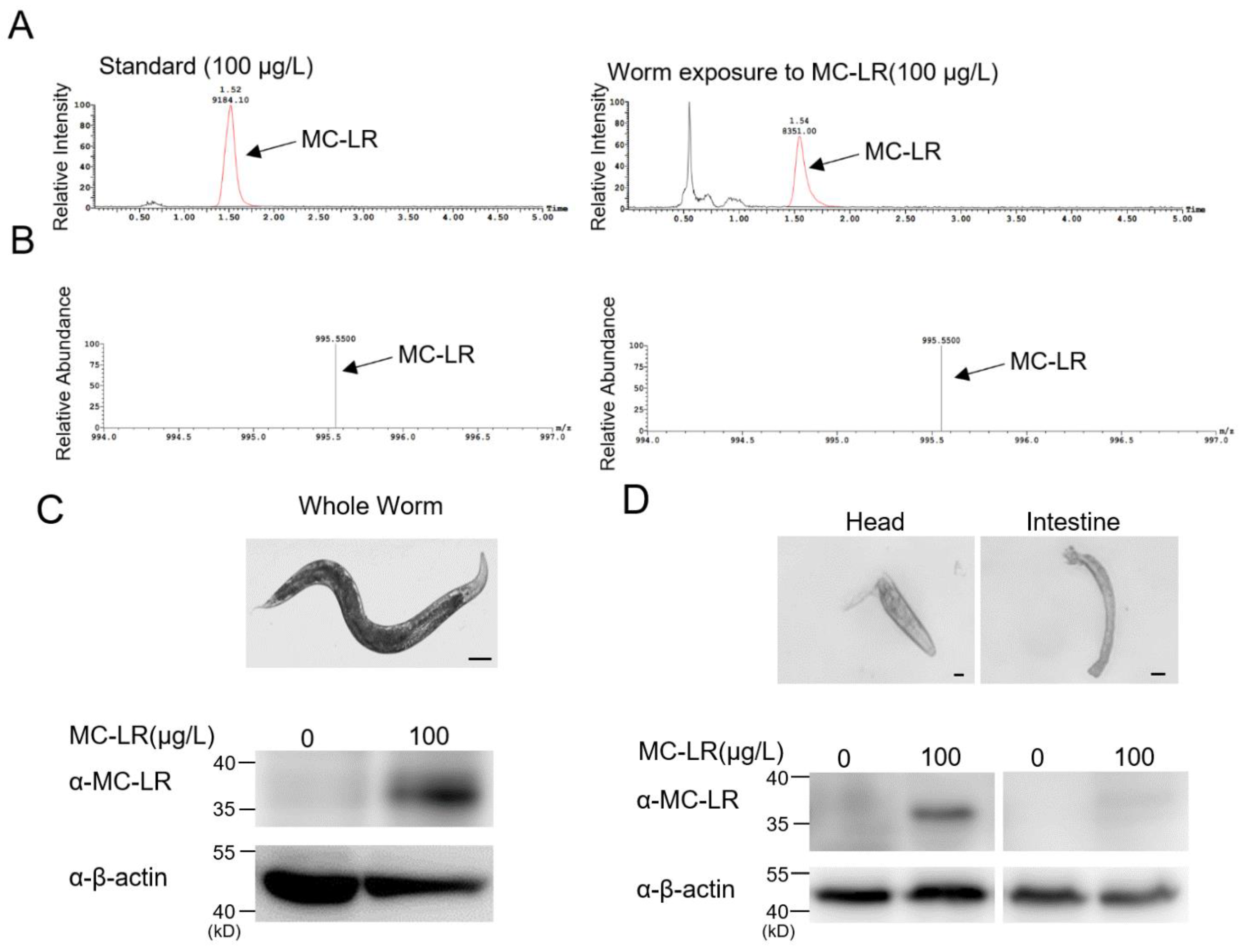 Toxins 16 00145 g003