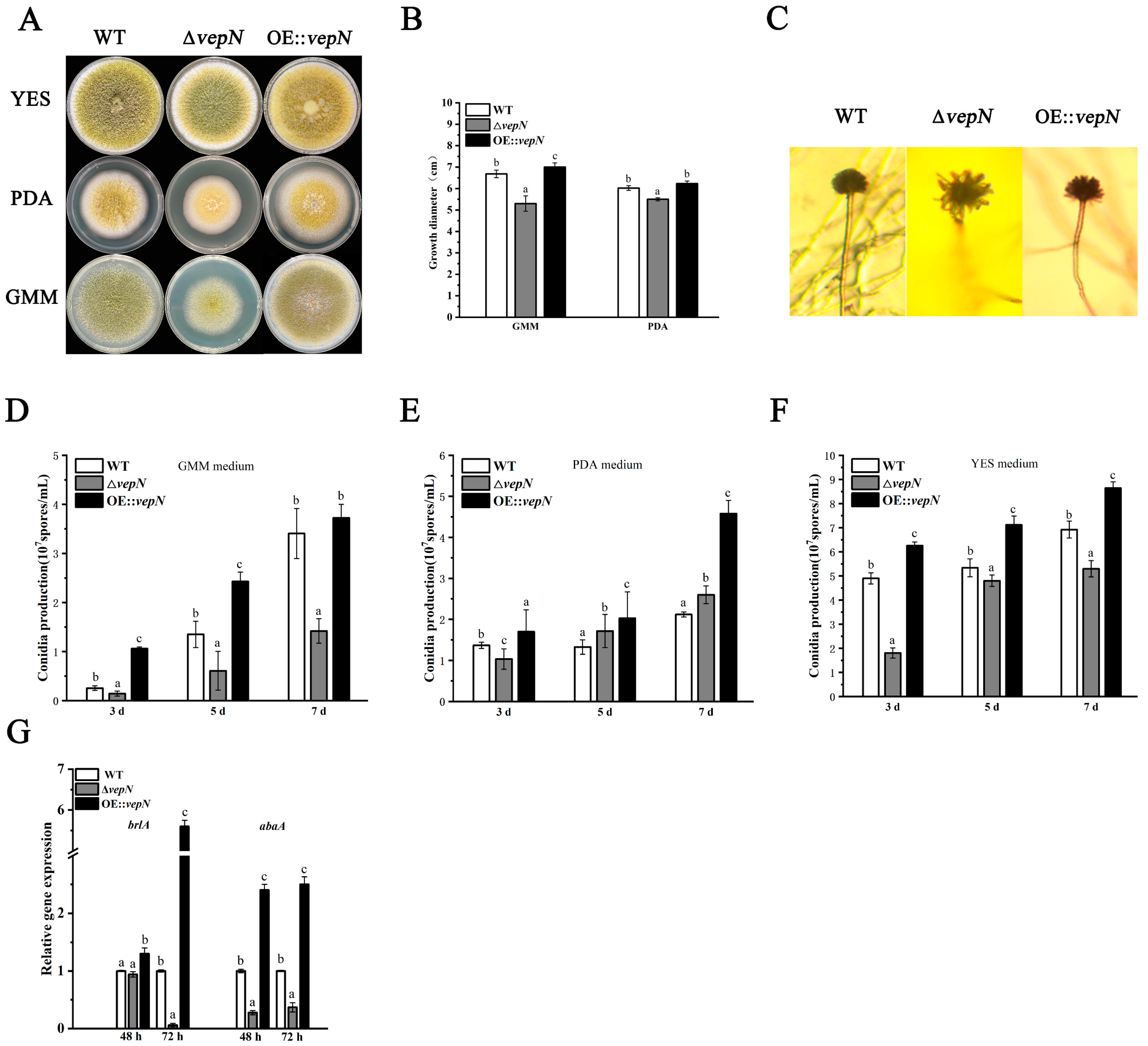 Toxins 16 00174 g004