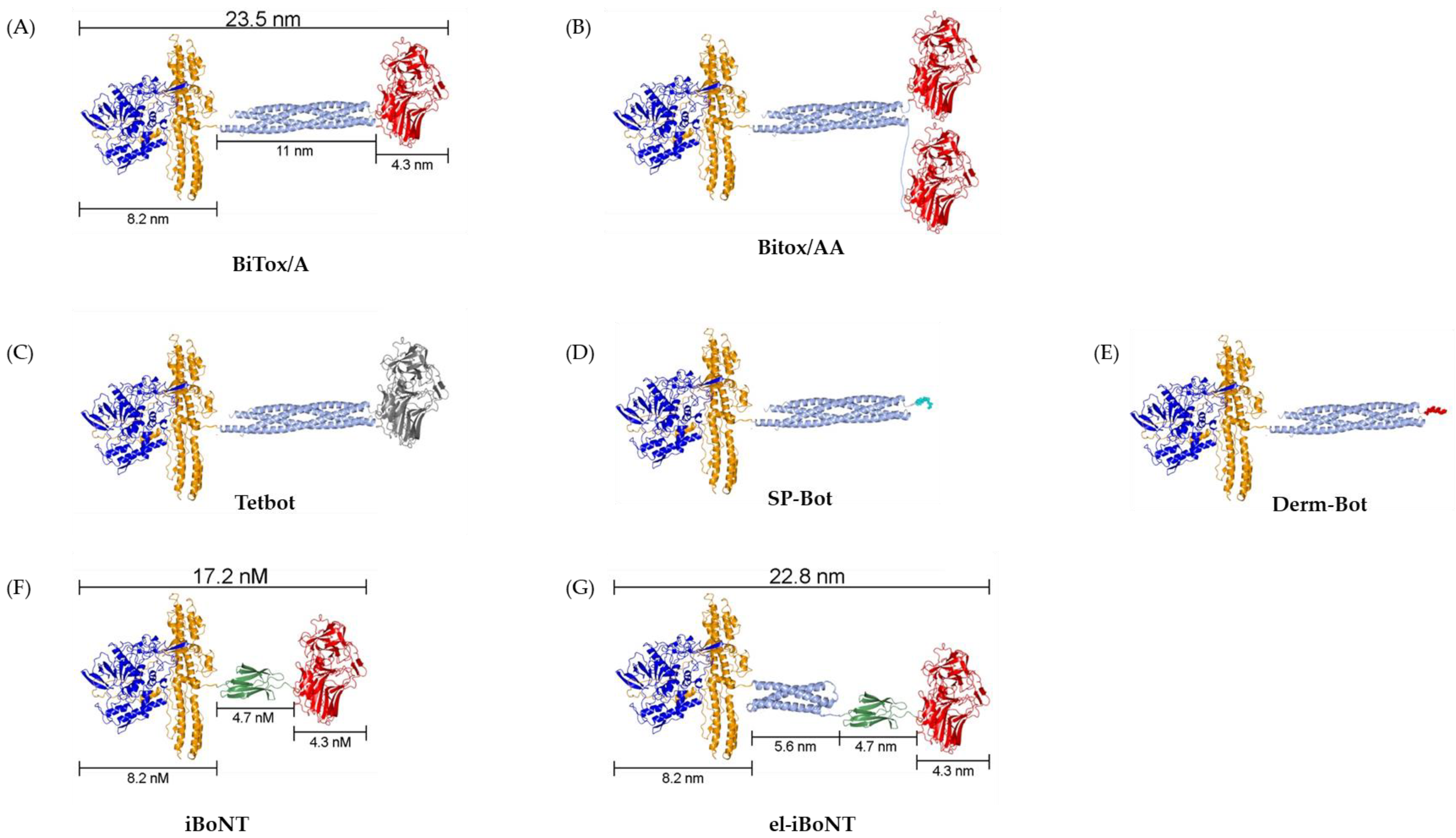 Toxins 16 00175 g002 Toxins 16 00175 g002