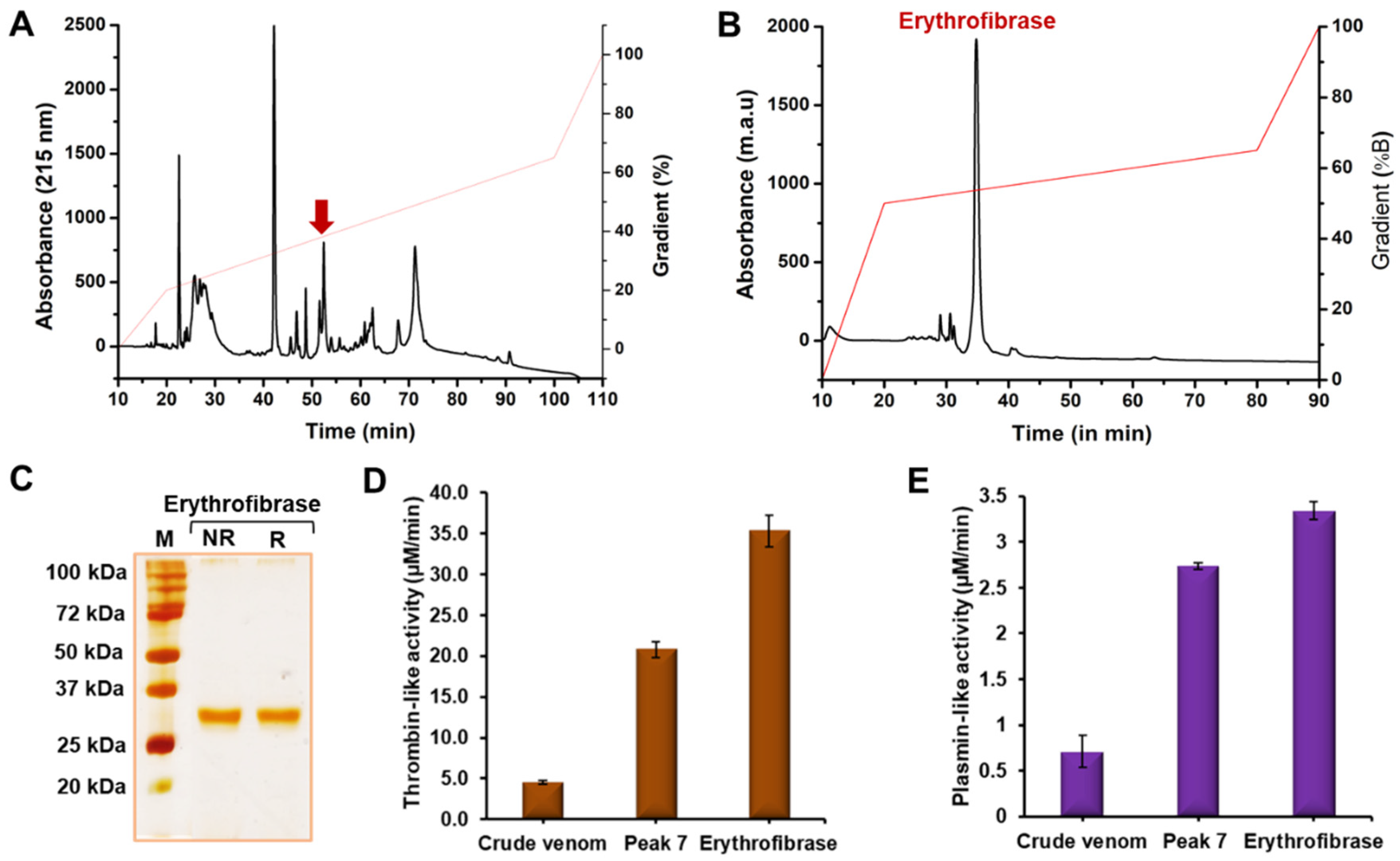 Toxins 16 00201 g001