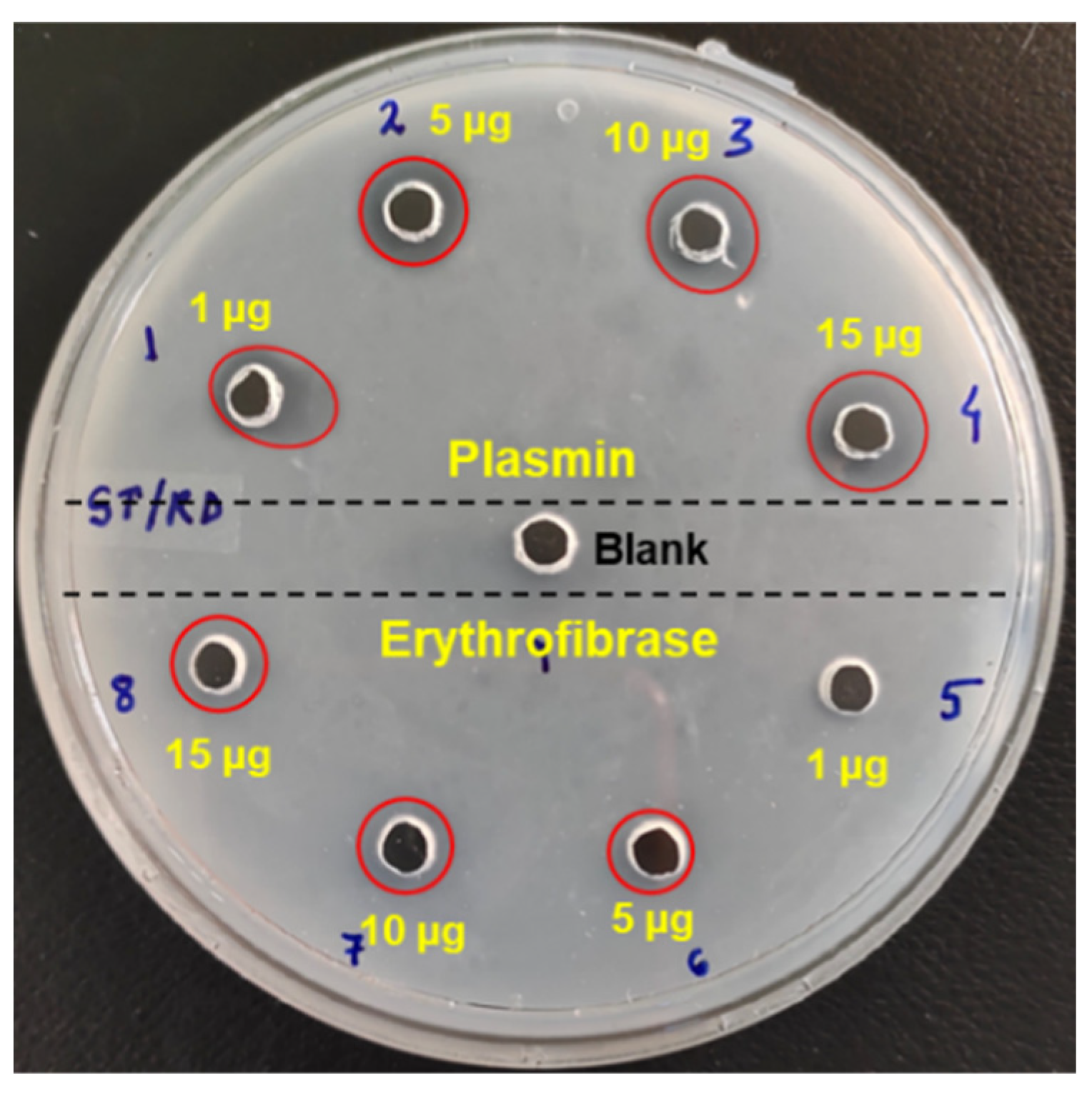 Toxins 16 00201 g006
