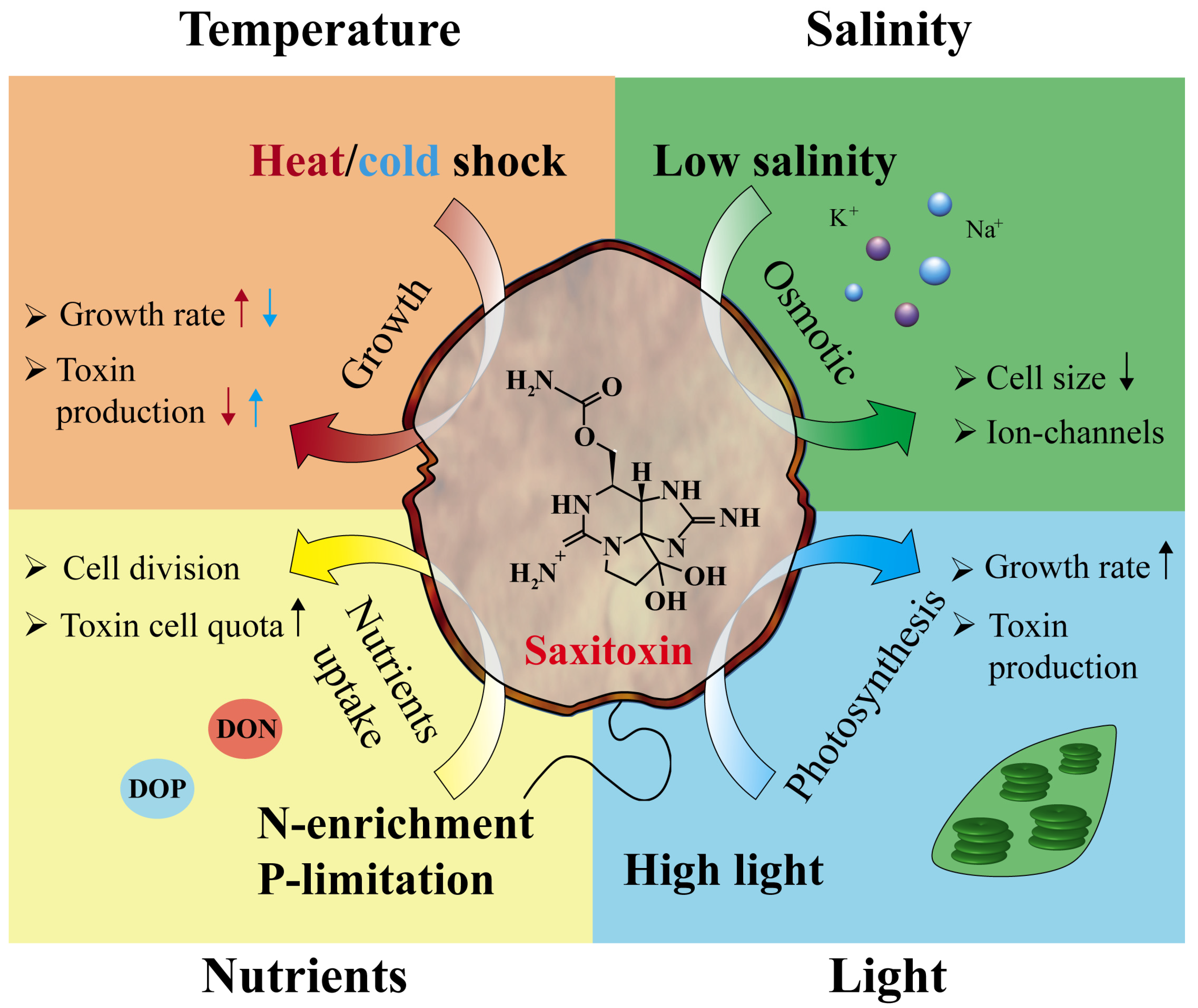 Toxins 16 00210 g002
