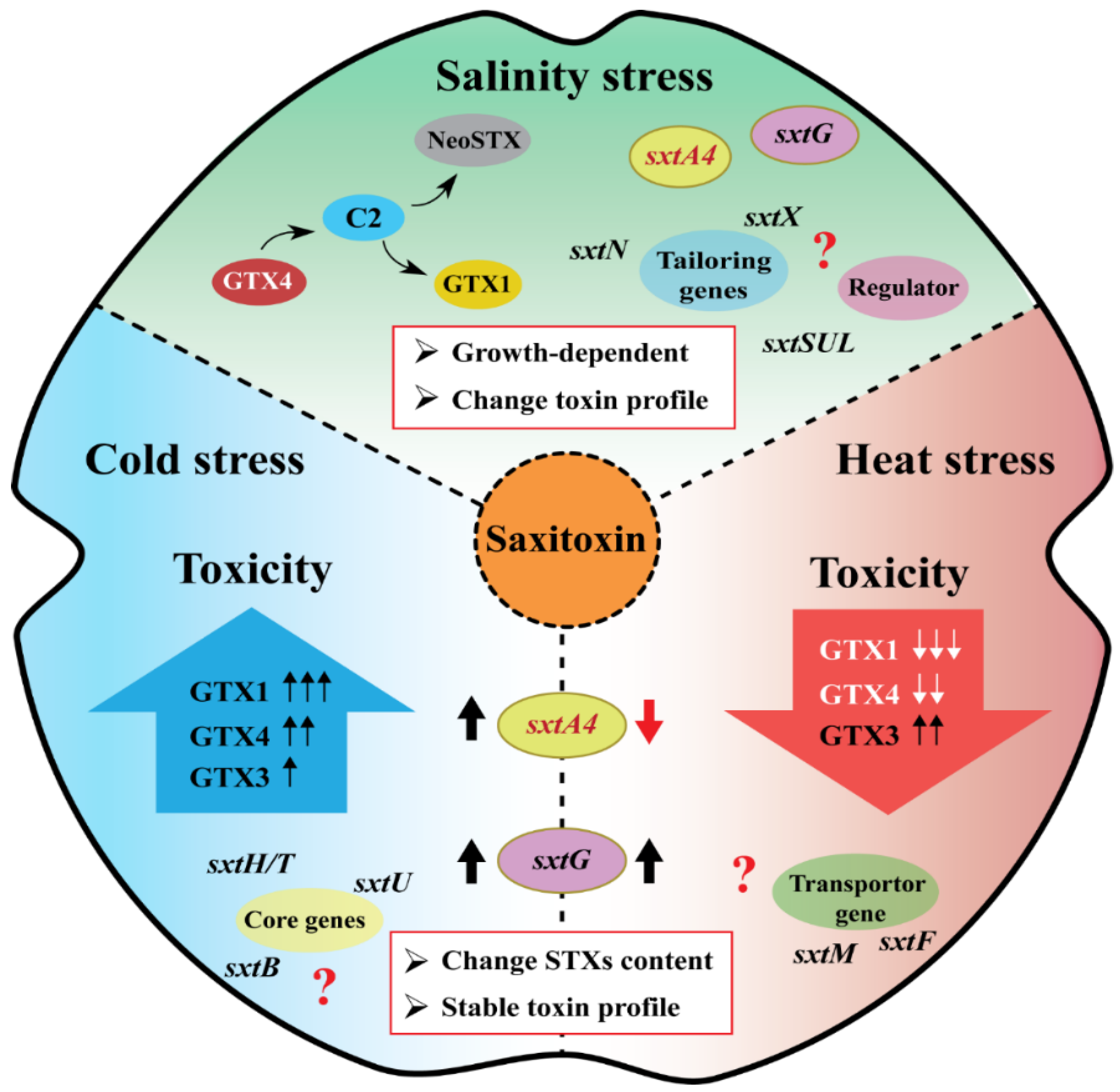 Toxins 16 00210 g004