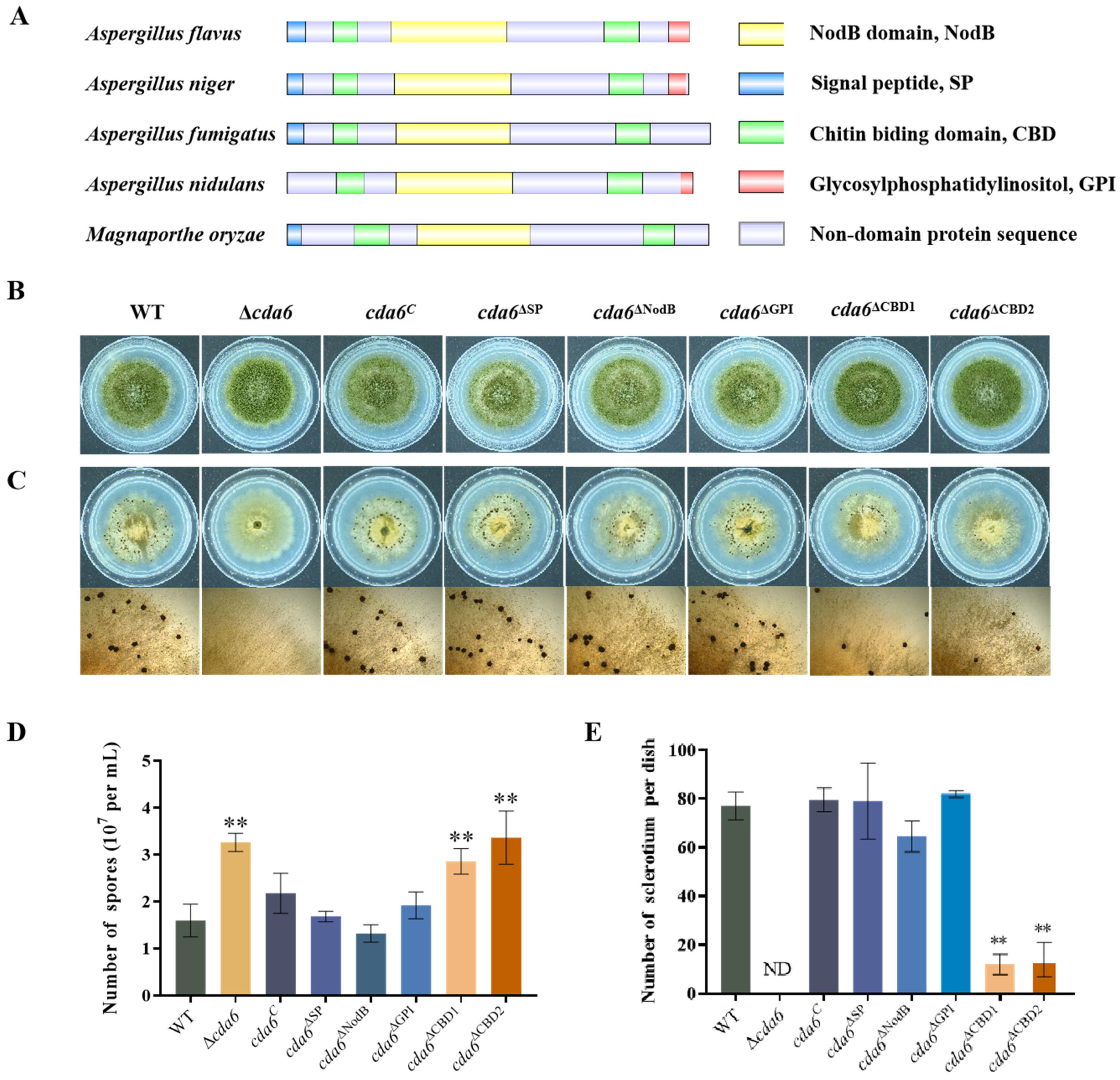 Toxins 16 00217 g008