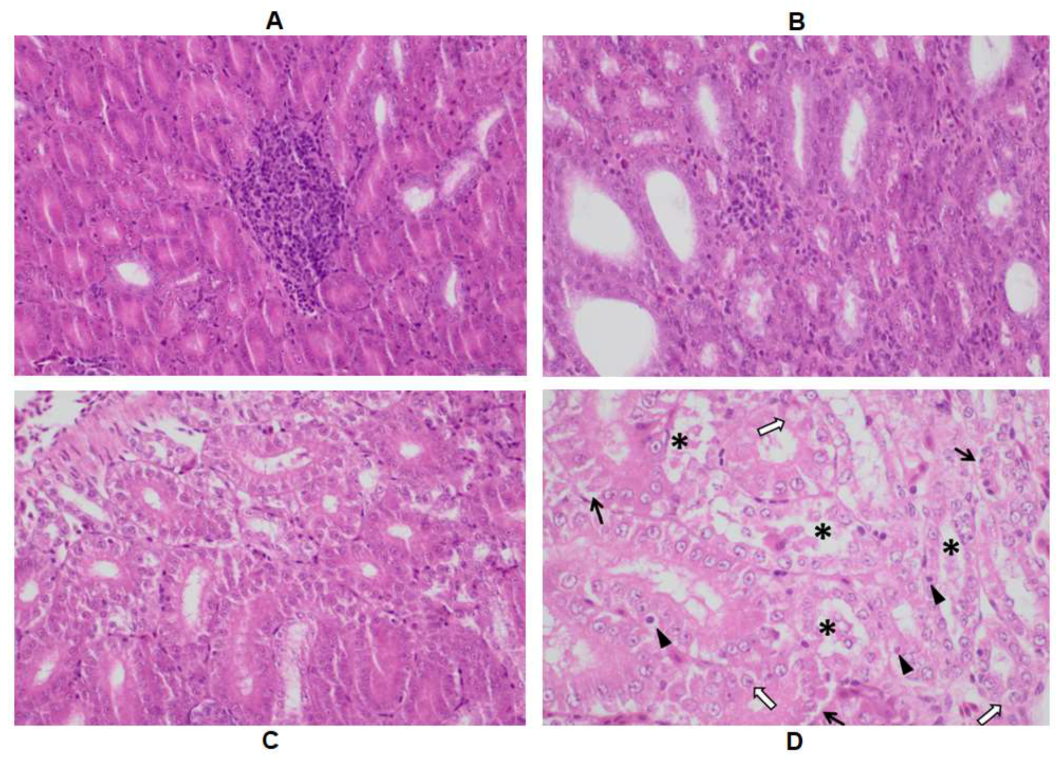 Toxins 16 00226 g0a1