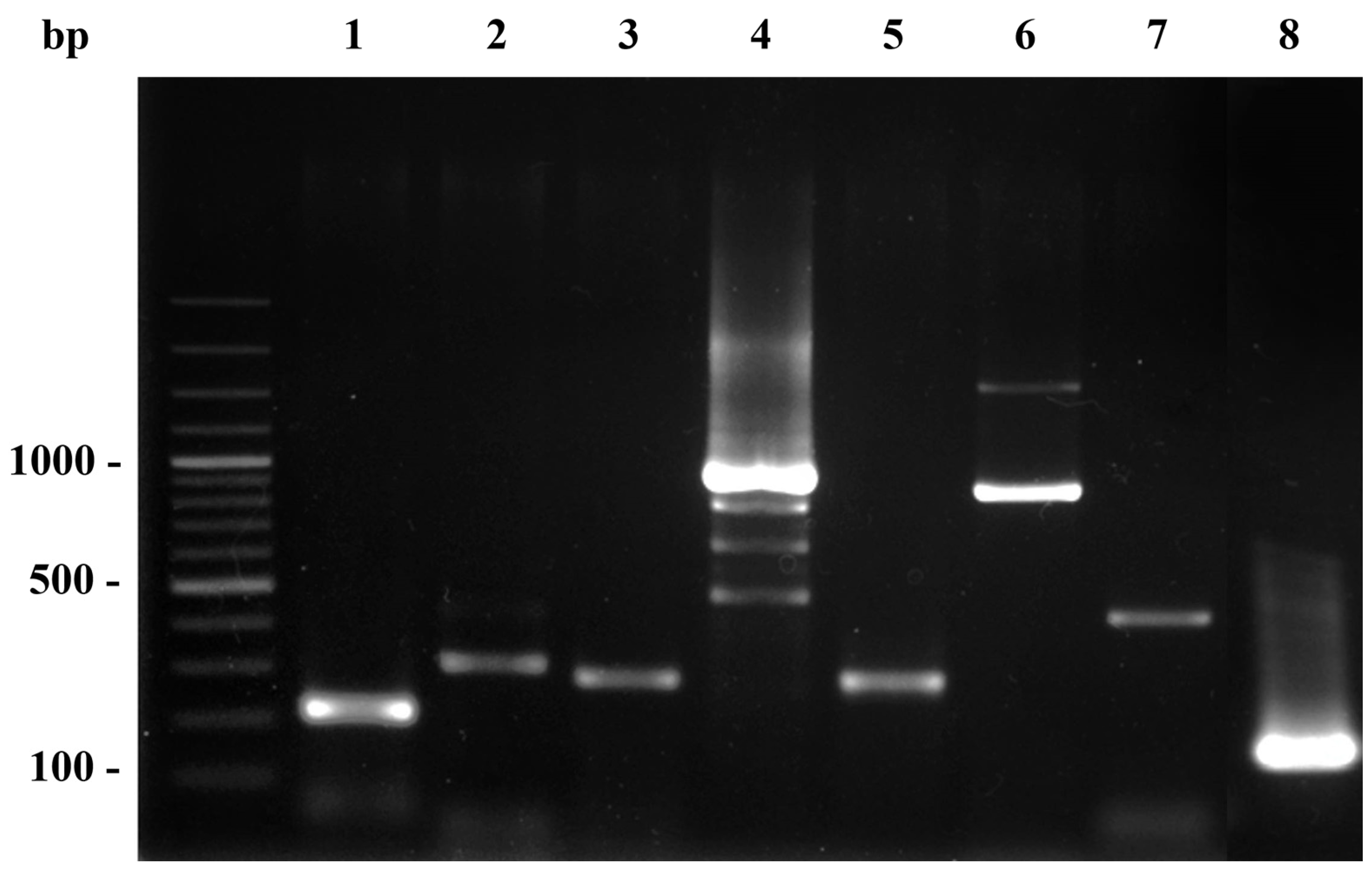Tropicalmed 08 00374 g002
