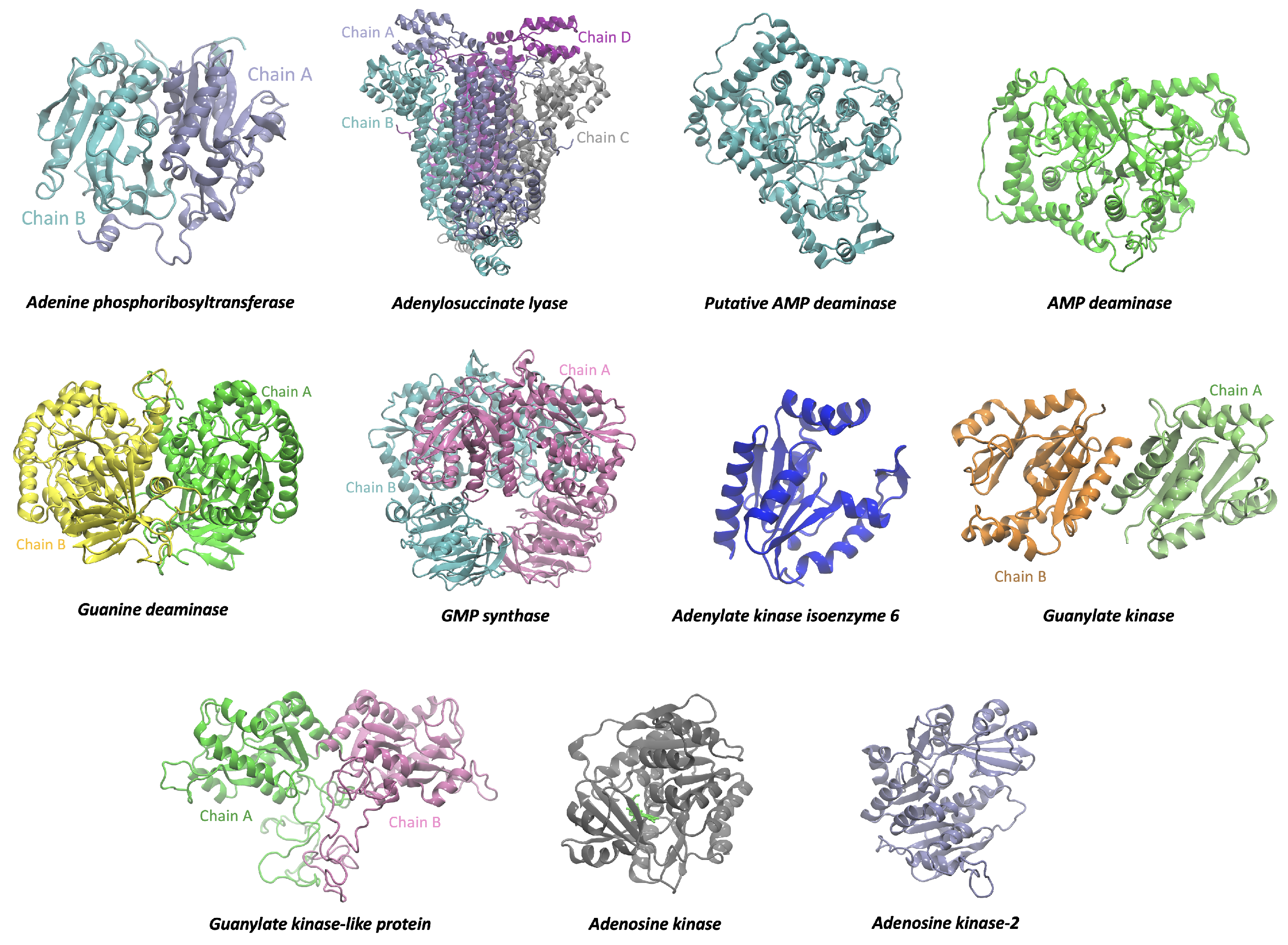 Tropicalmed 09 00041 g003