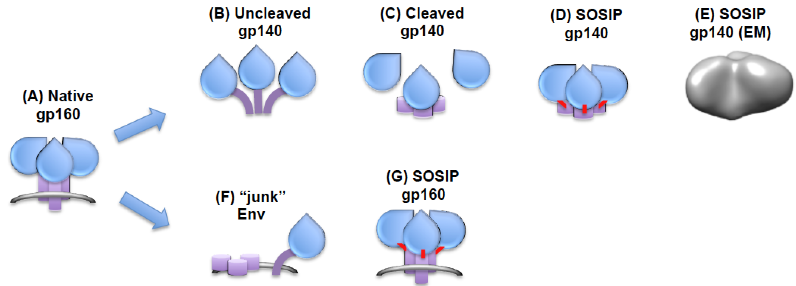 Vaccines 01 00497 g002