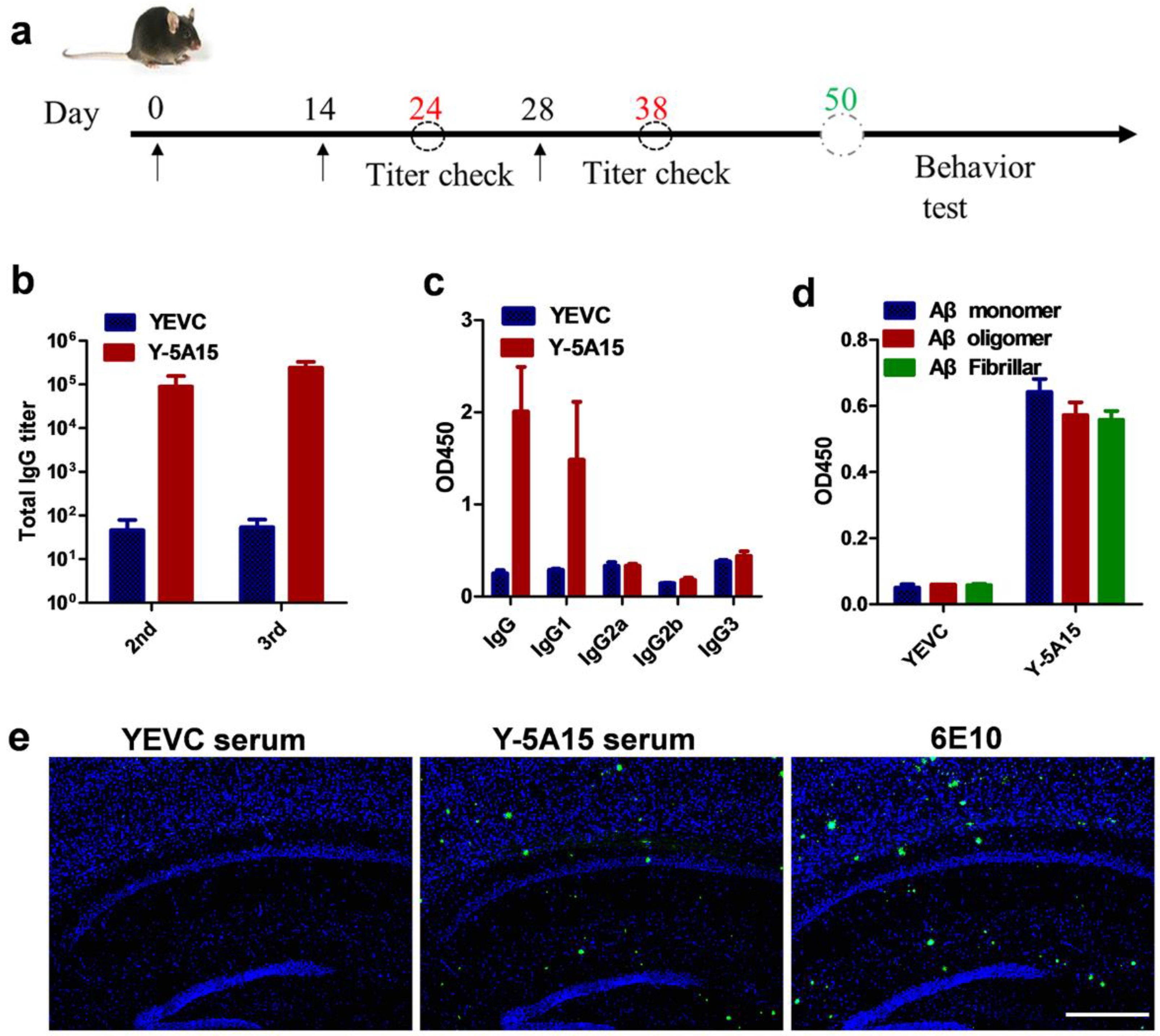 Vaccines 08 00351 g002