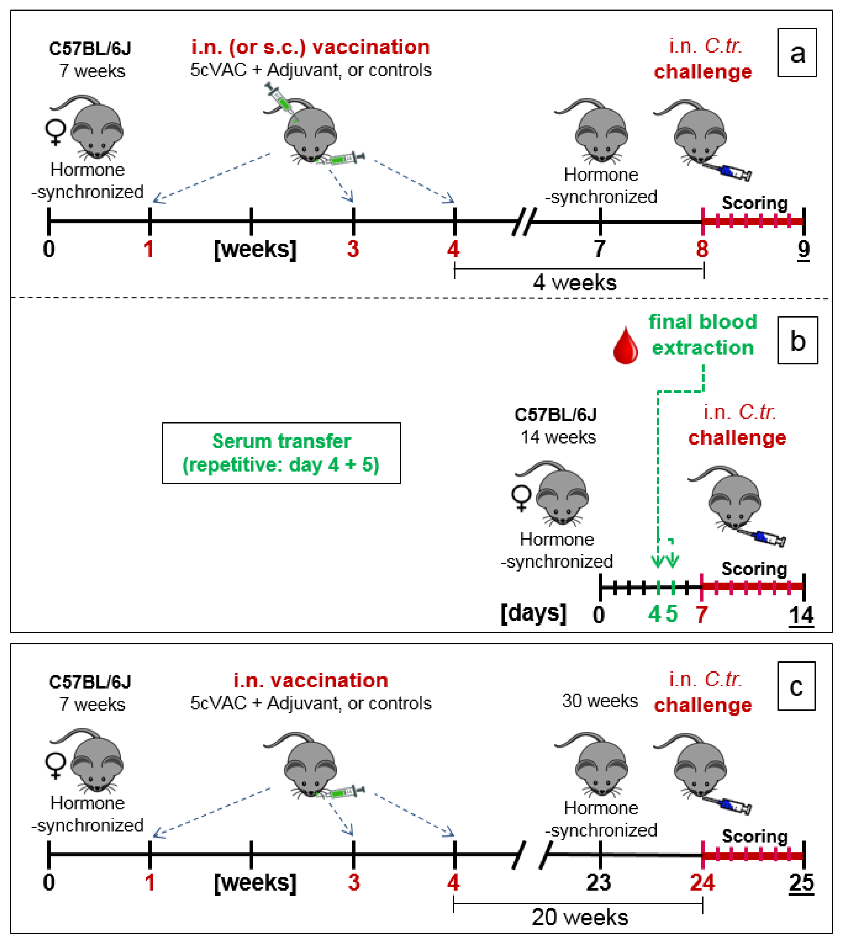 Vaccines 09 00609 g001