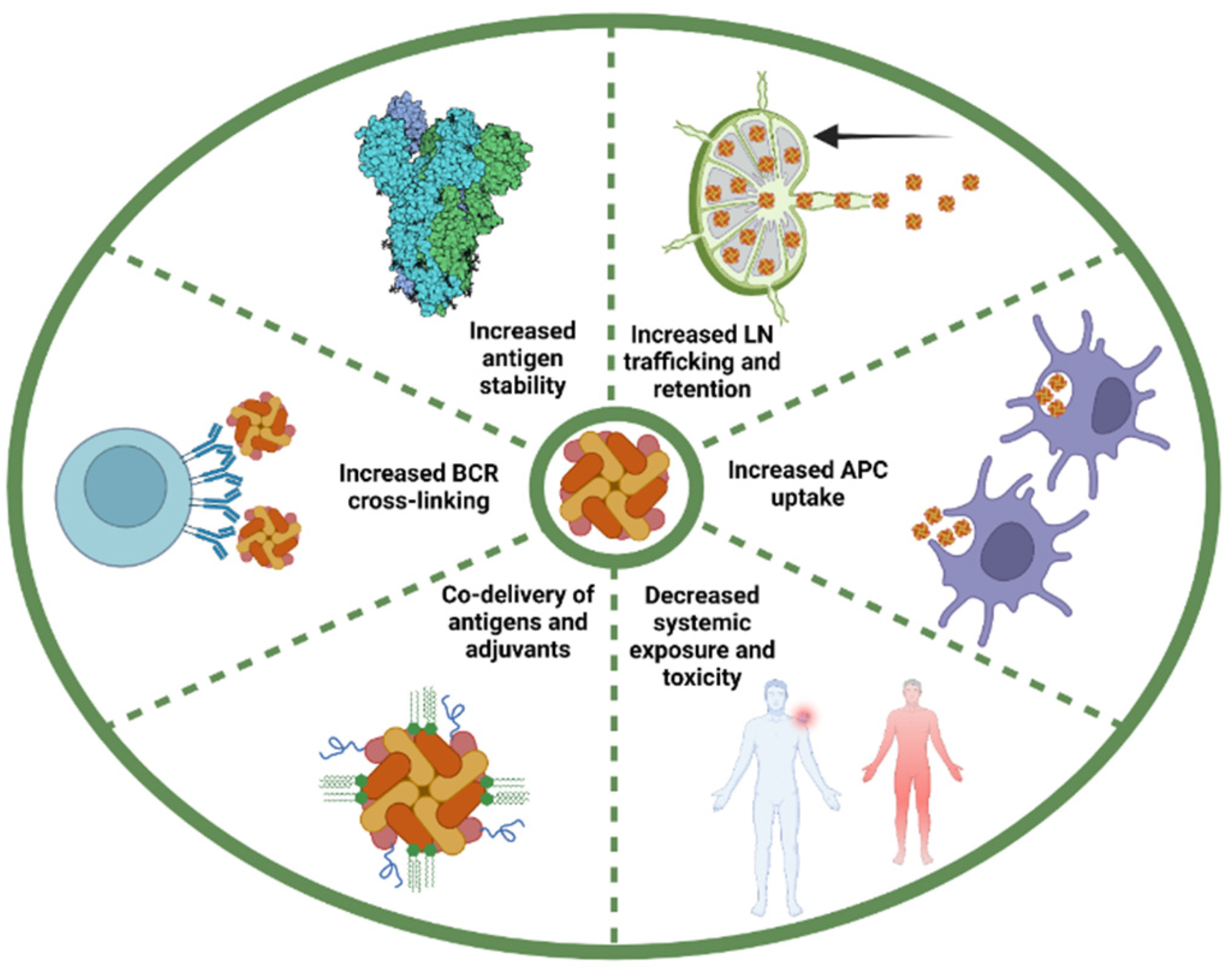 Vaccines 10 01920 g004