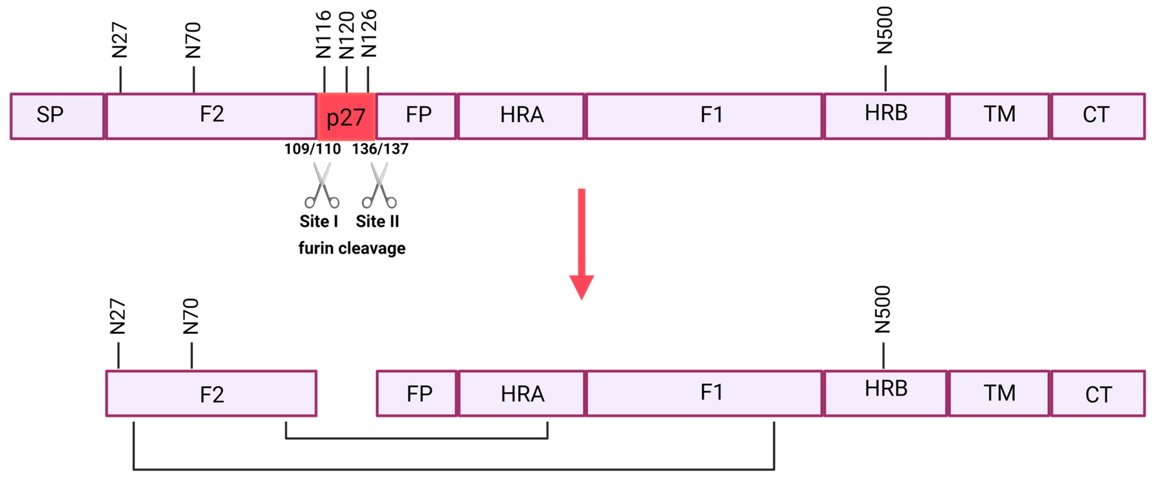 Vaccines 12 00097 g002 Vaccines 12 00097 g002