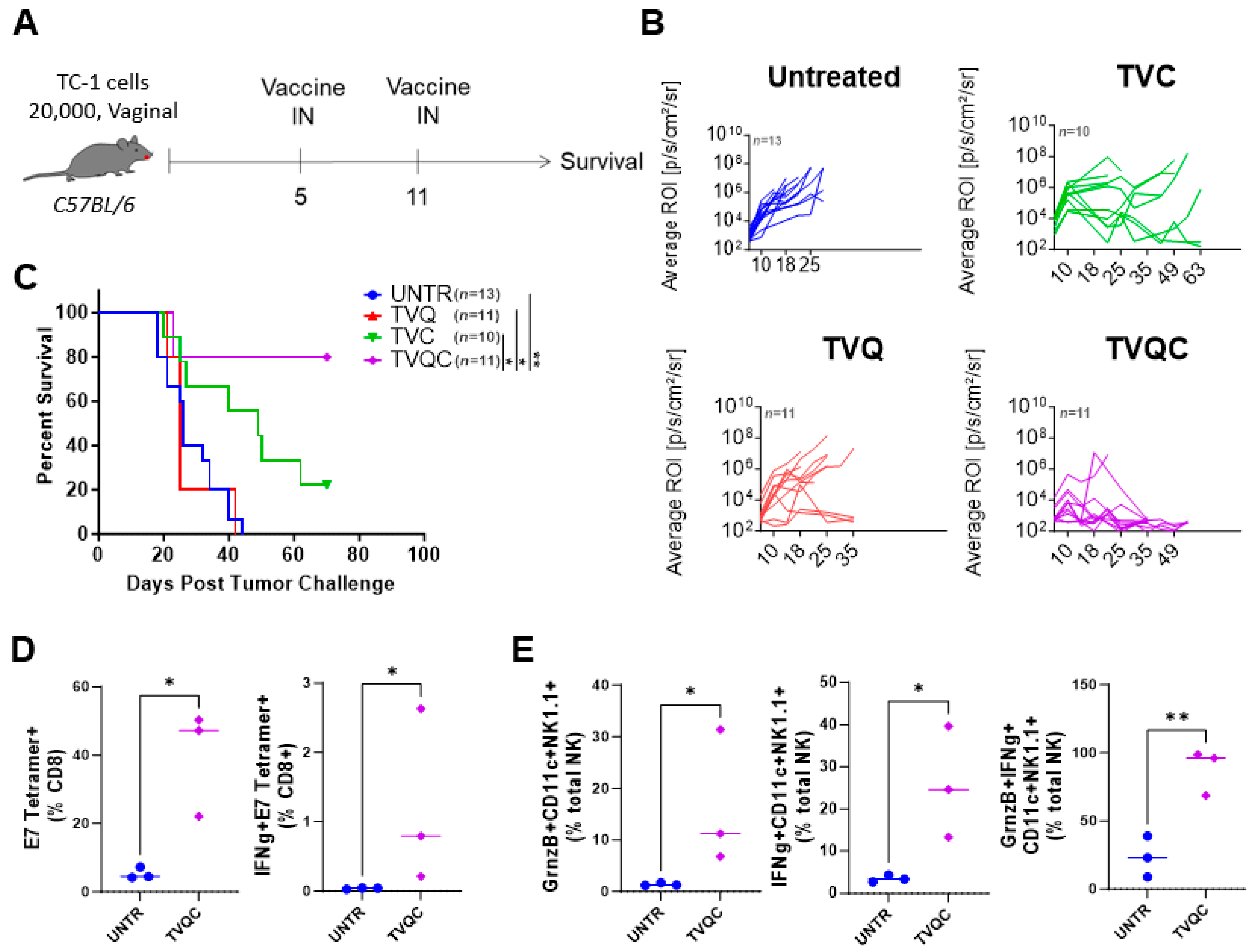 Vaccines 12 00206 g003