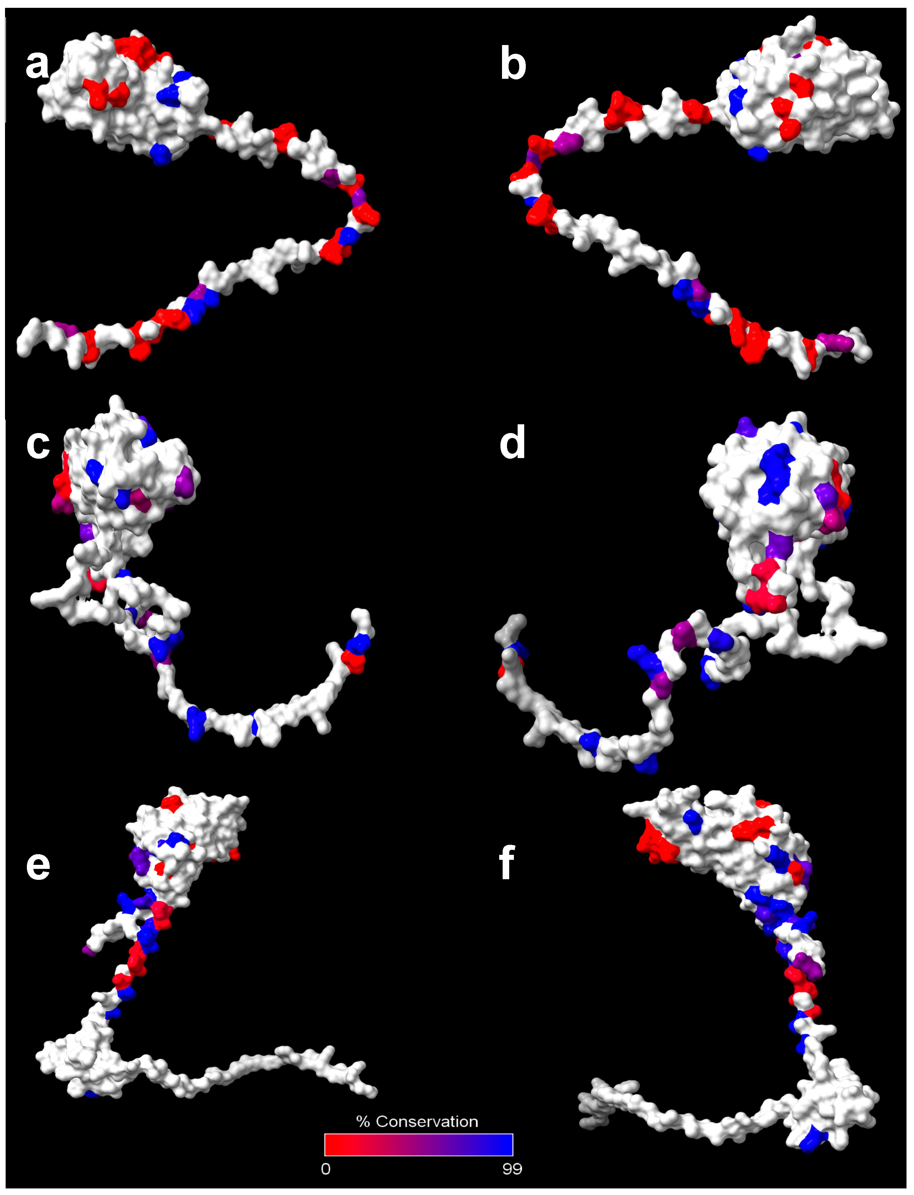 Vaccines 12 00313 g003