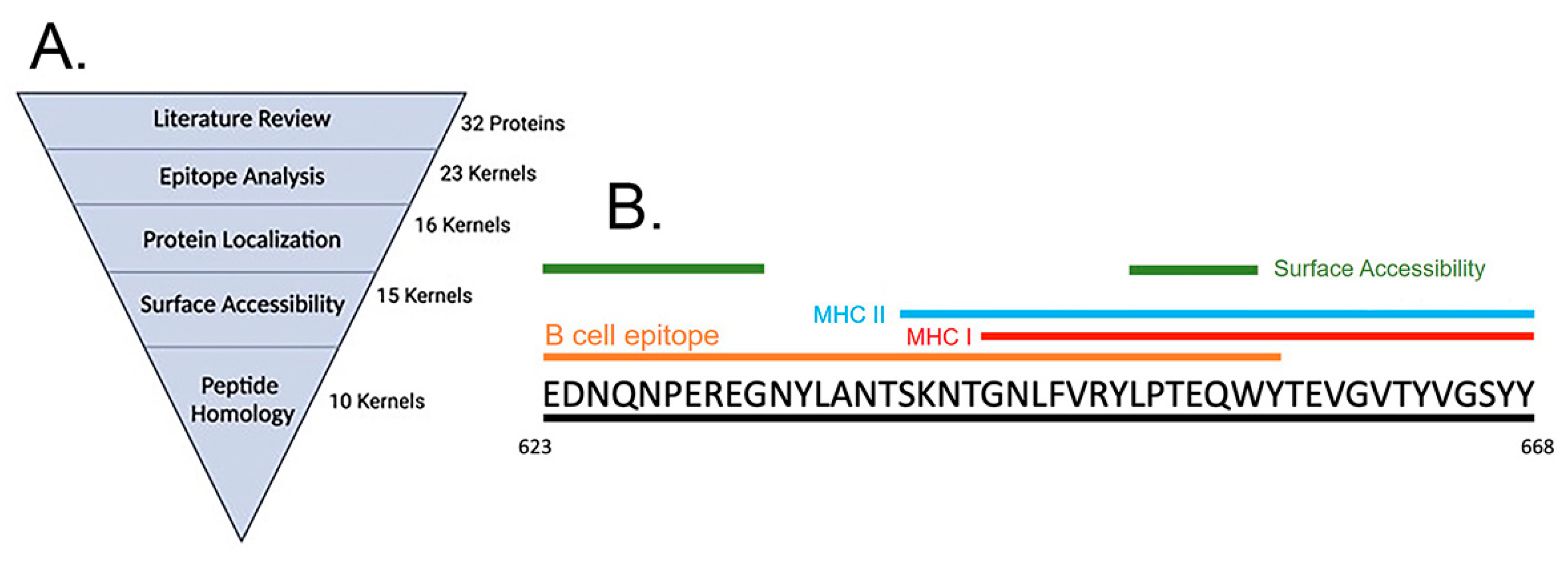 Vaccines 12 00358 g001