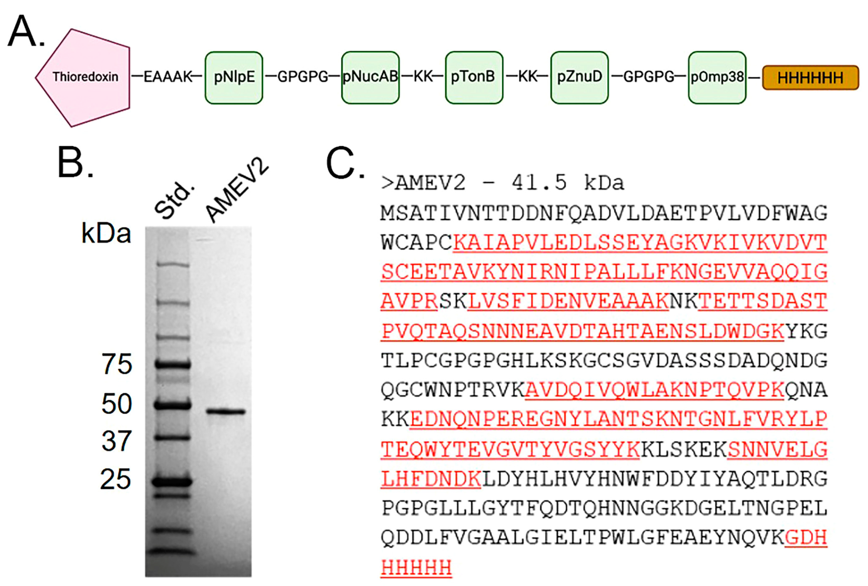 Vaccines 12 00358 g002