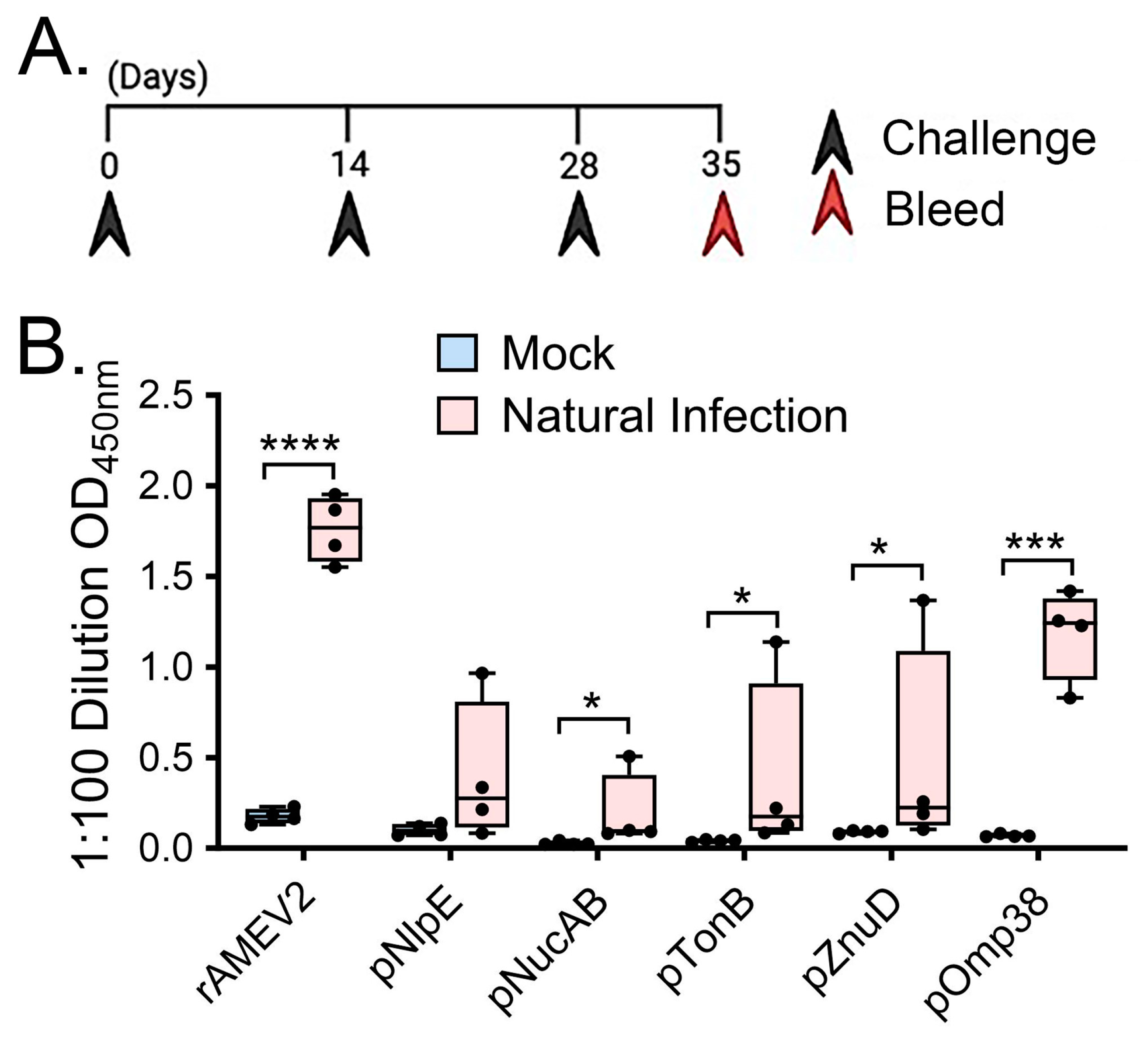 Vaccines 12 00358 g003