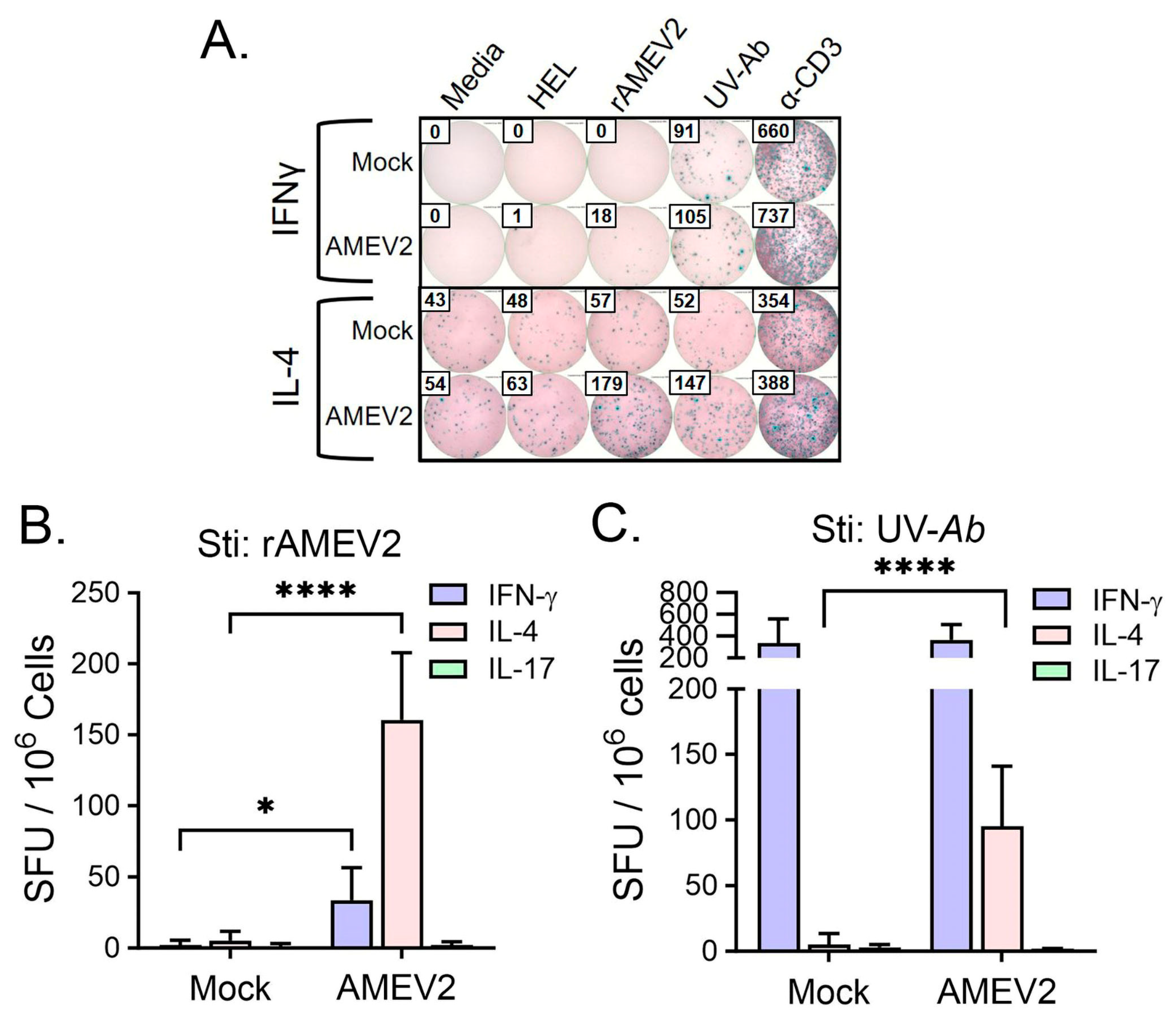 Vaccines 12 00358 g006