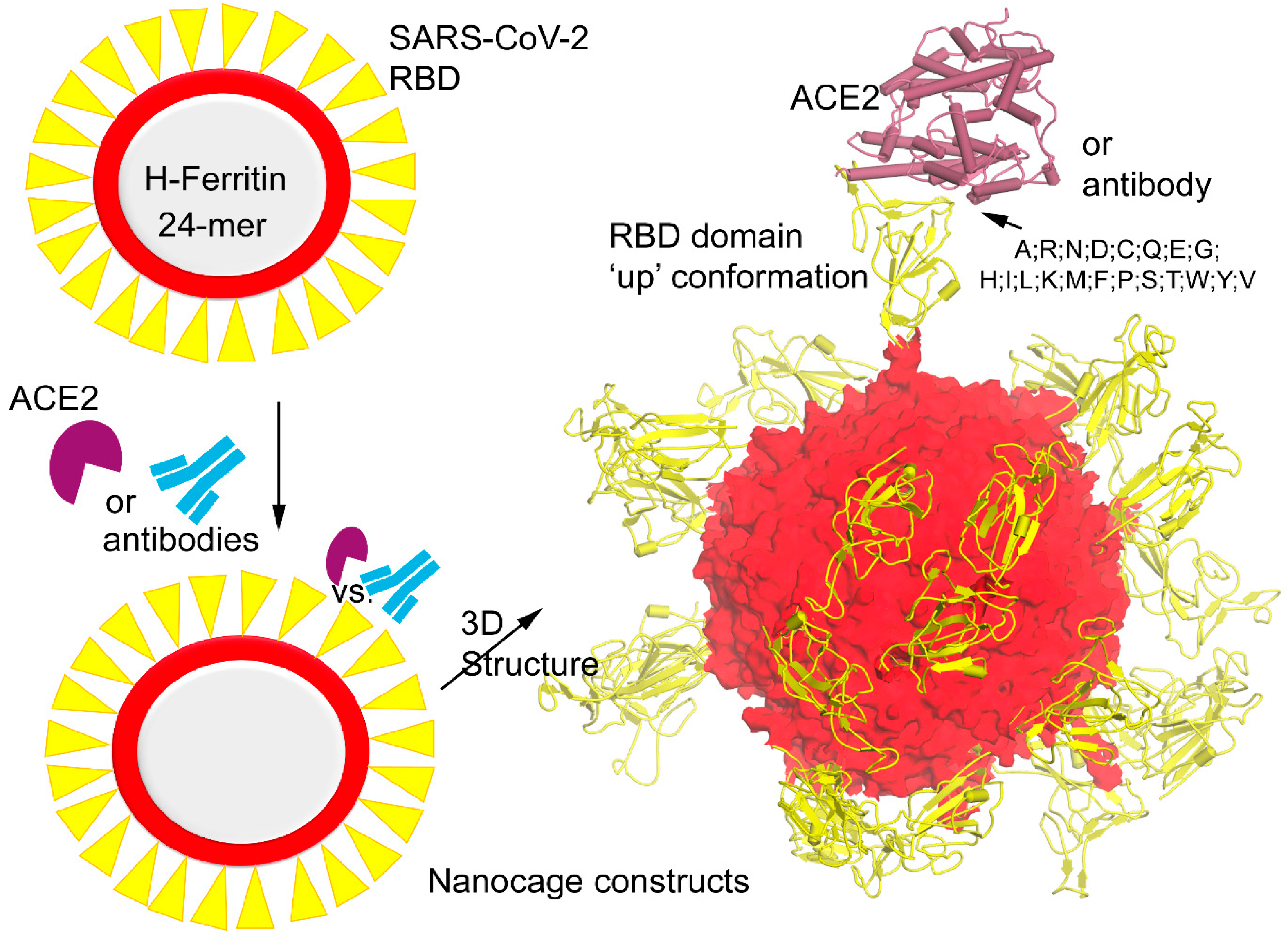 Vaccines 12 00446 g001