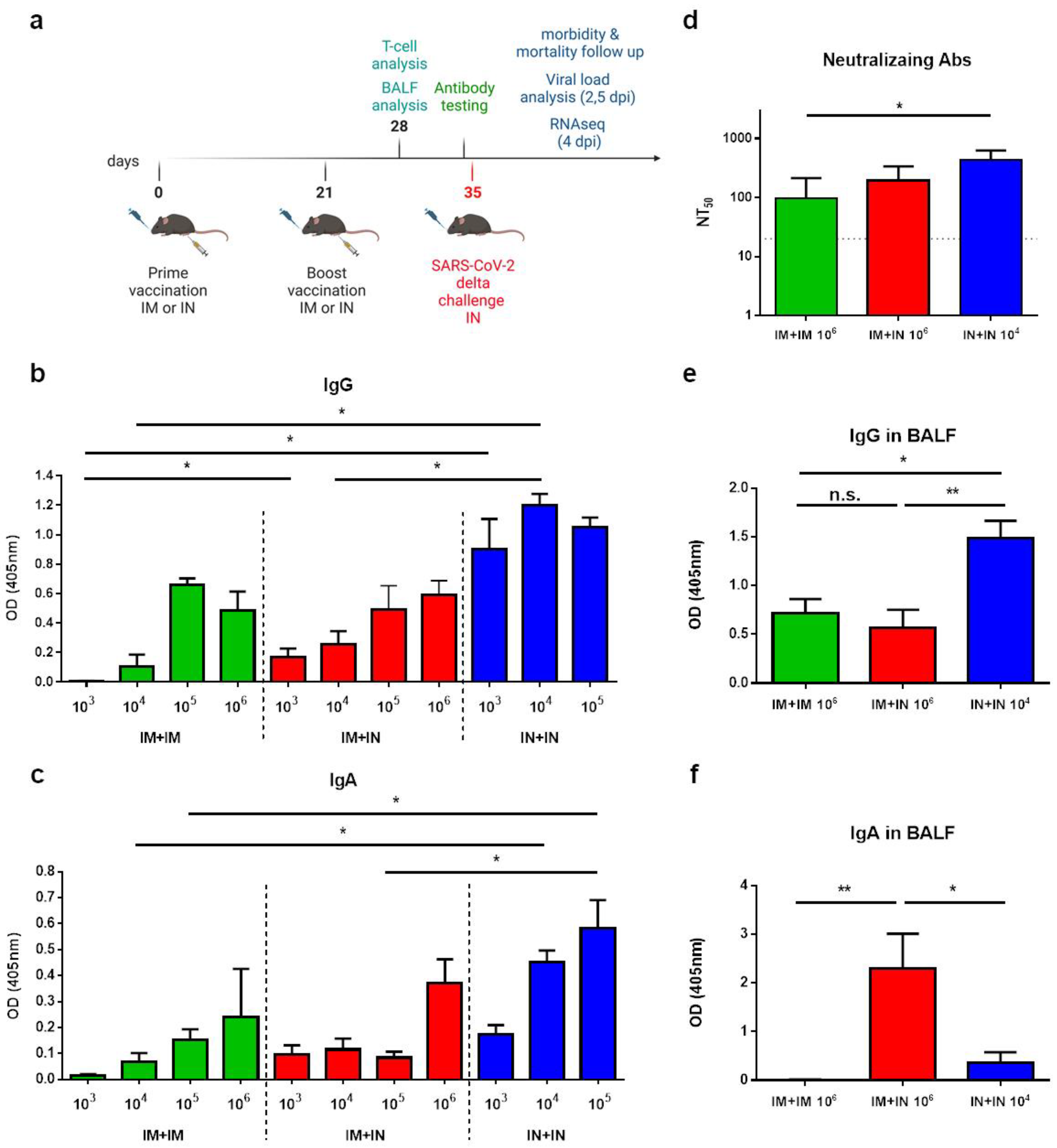 Vaccines 12 00491 g001
