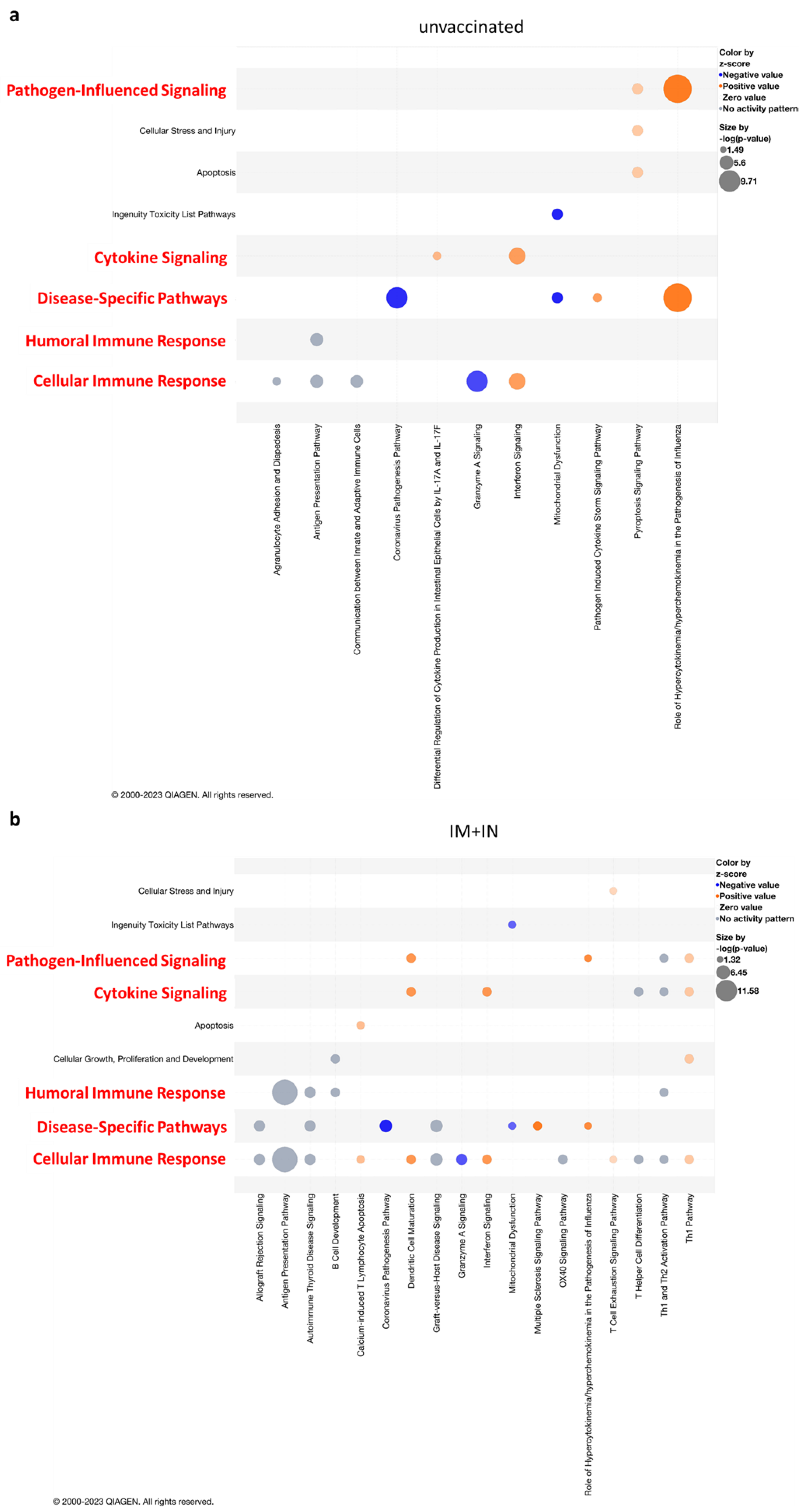 Vaccines 12 00491 g005
