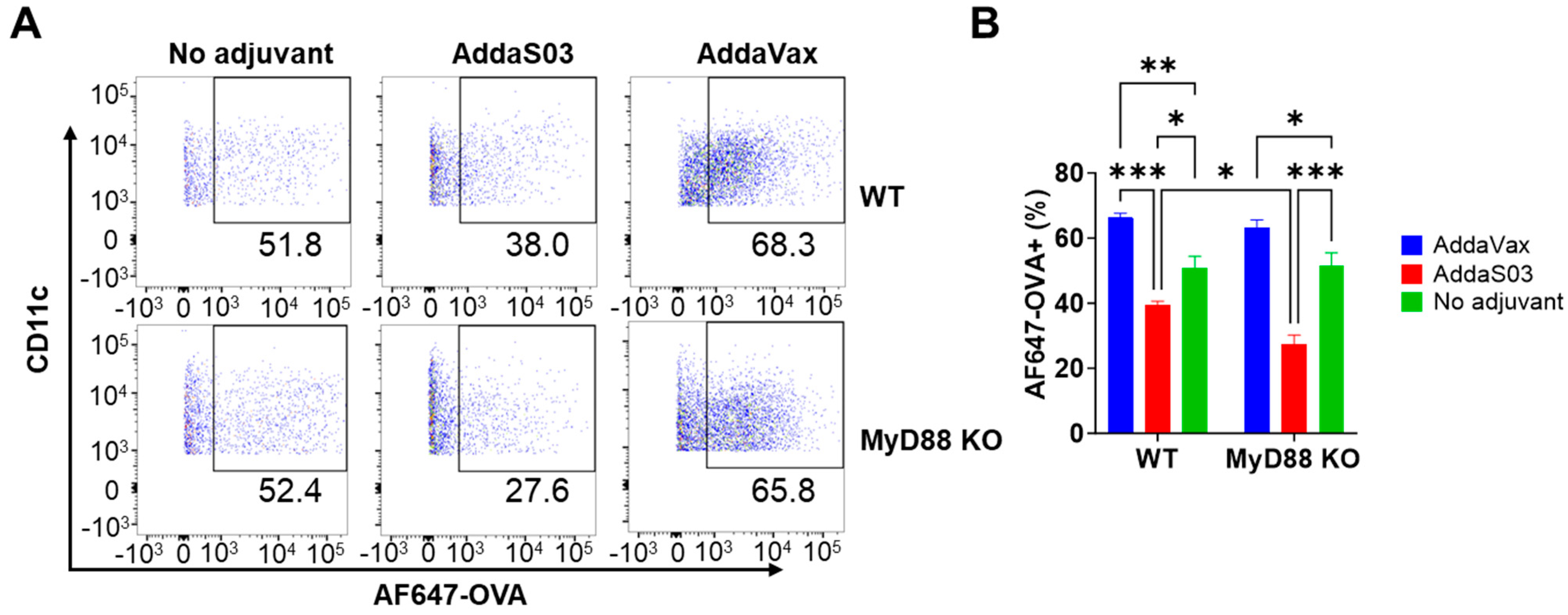 Vaccines 12 00531 g001
