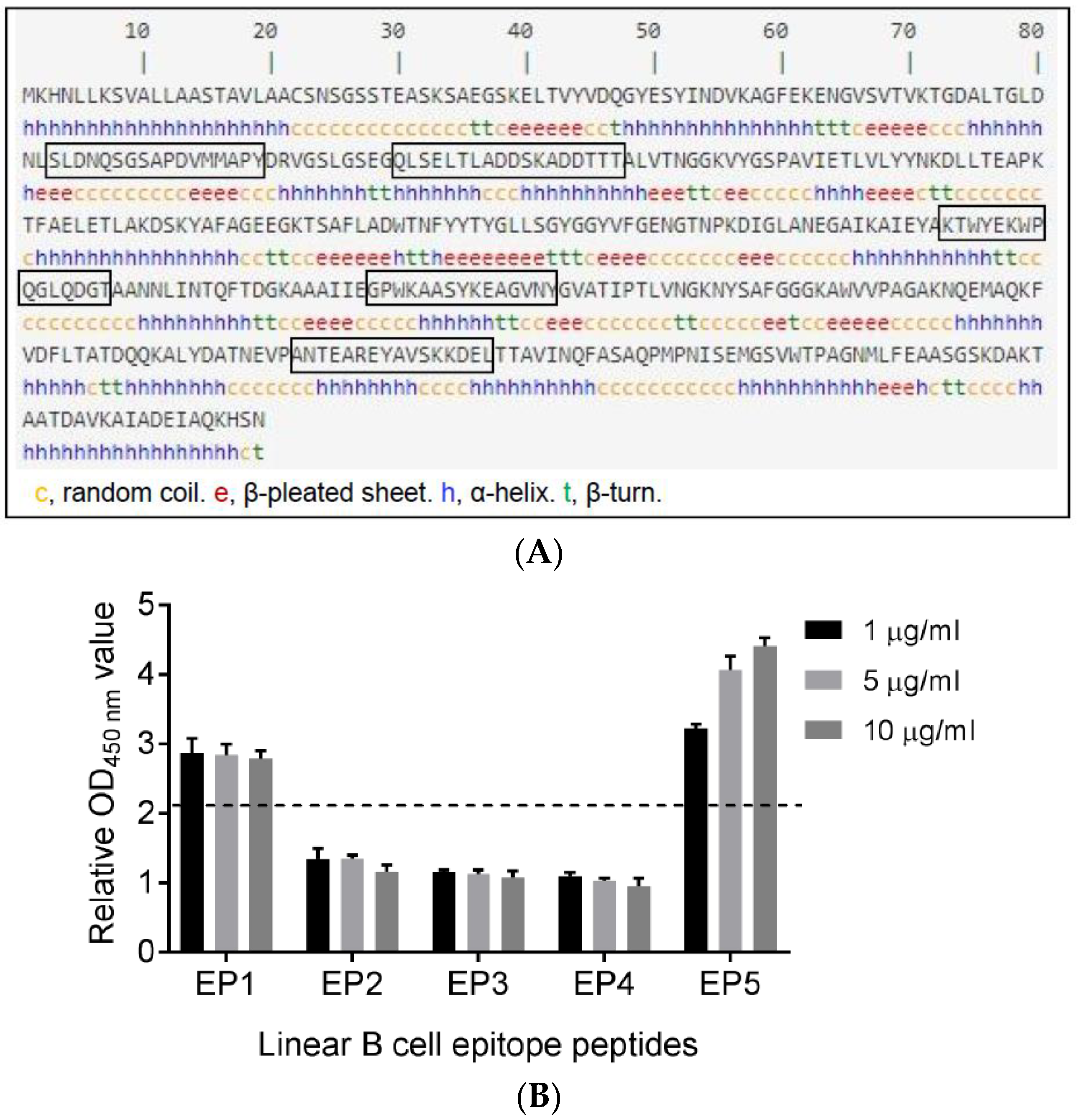 Vaccines 12 00544 g001