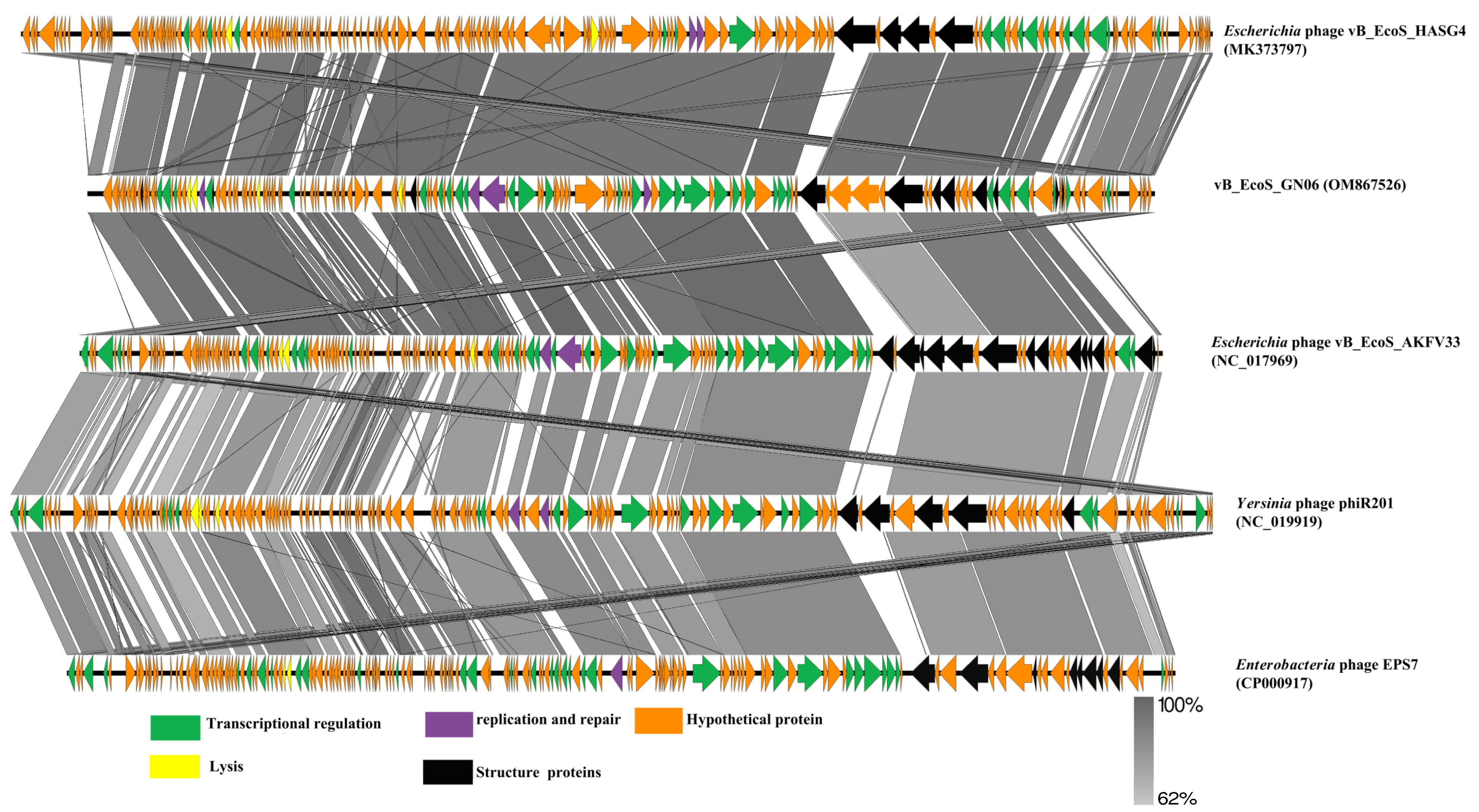 Vetsci 09 00675 g006