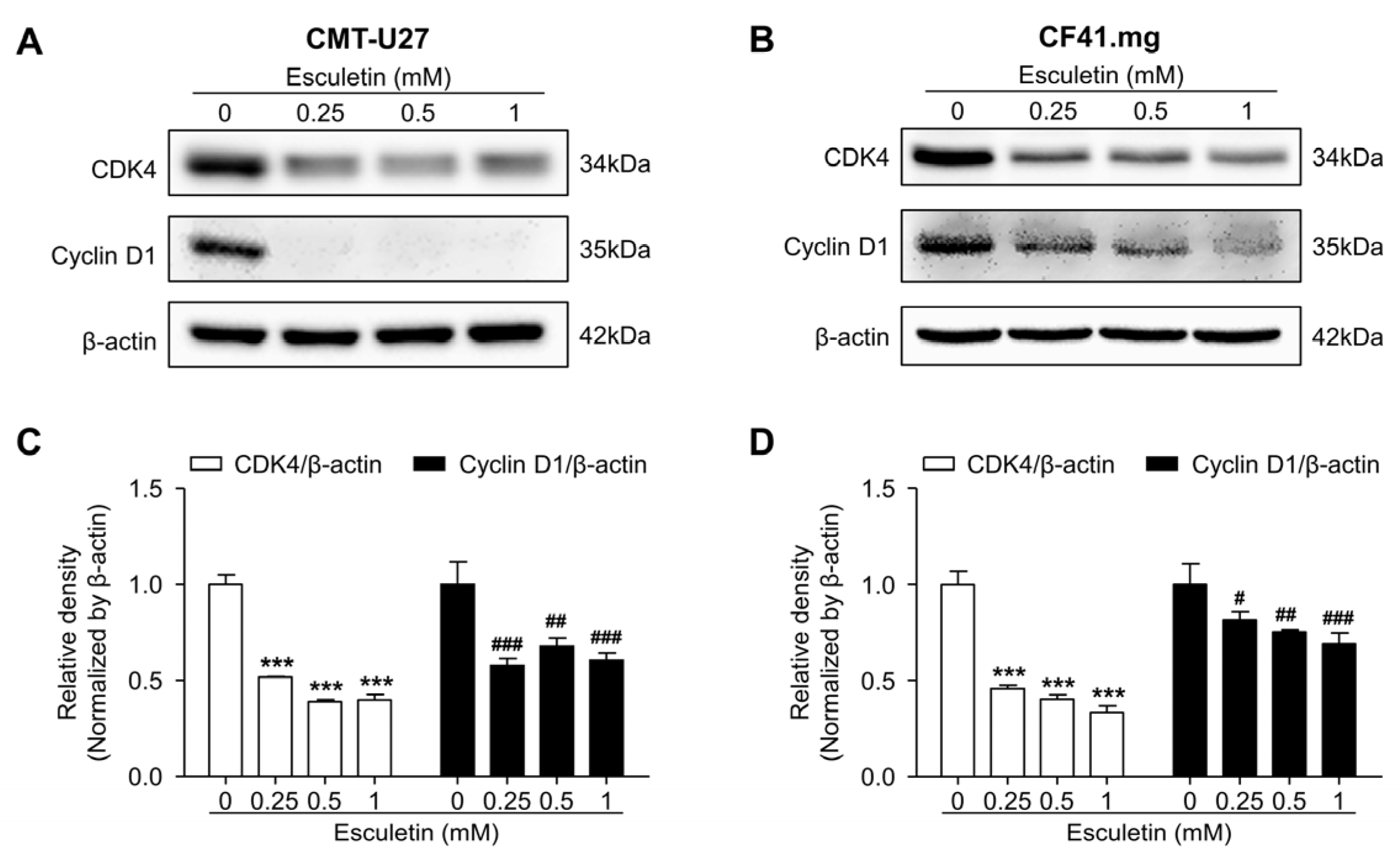 Vetsci 10 00084 g006