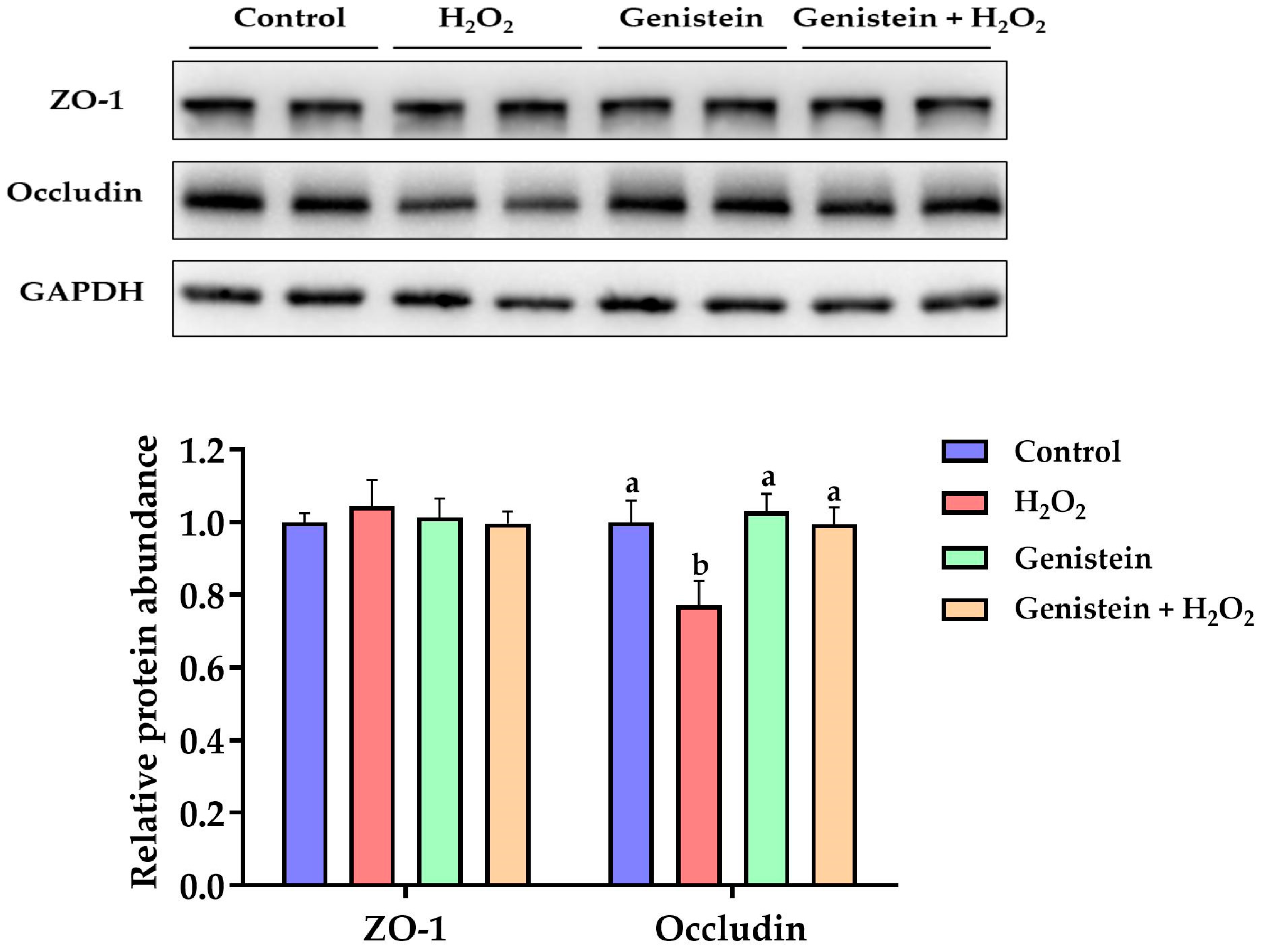 Vetsci 11 00154 g007