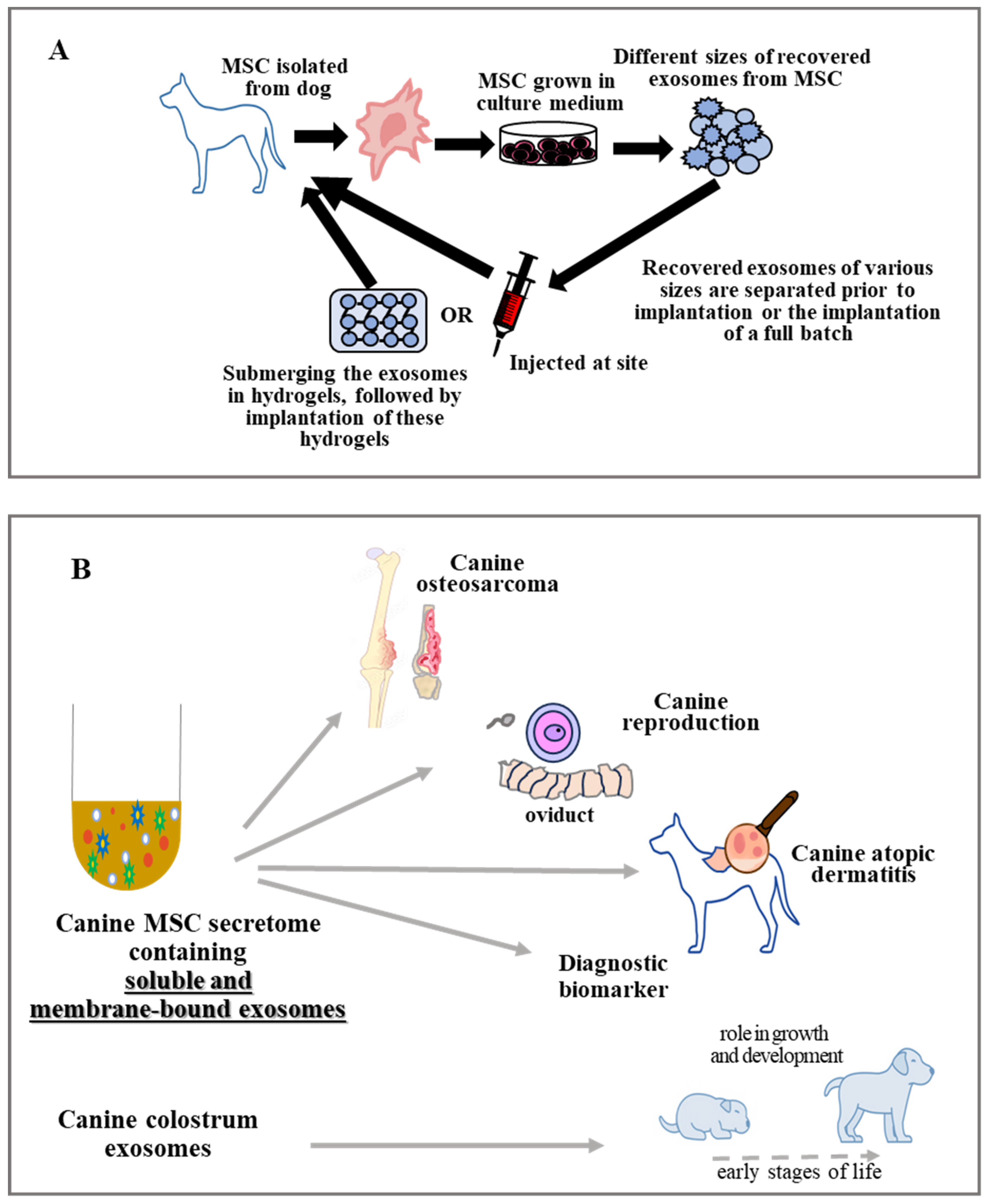 Vetsci 11 00187 g003