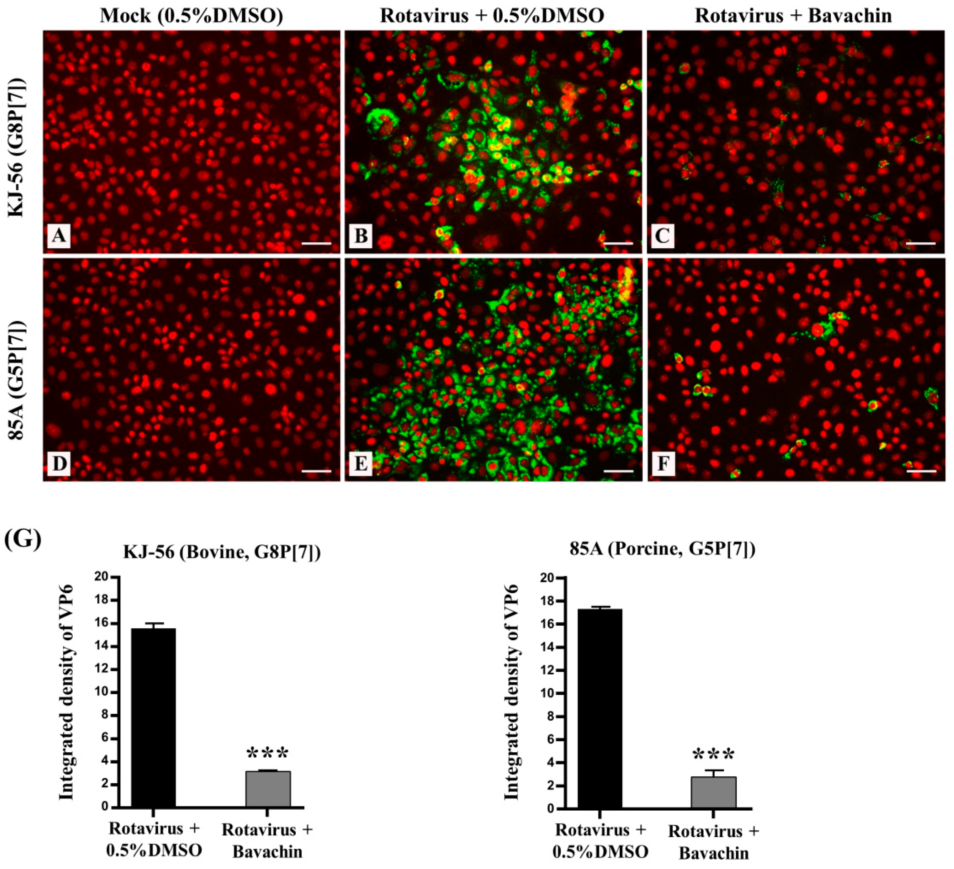 Vetsci 11 00188 g003