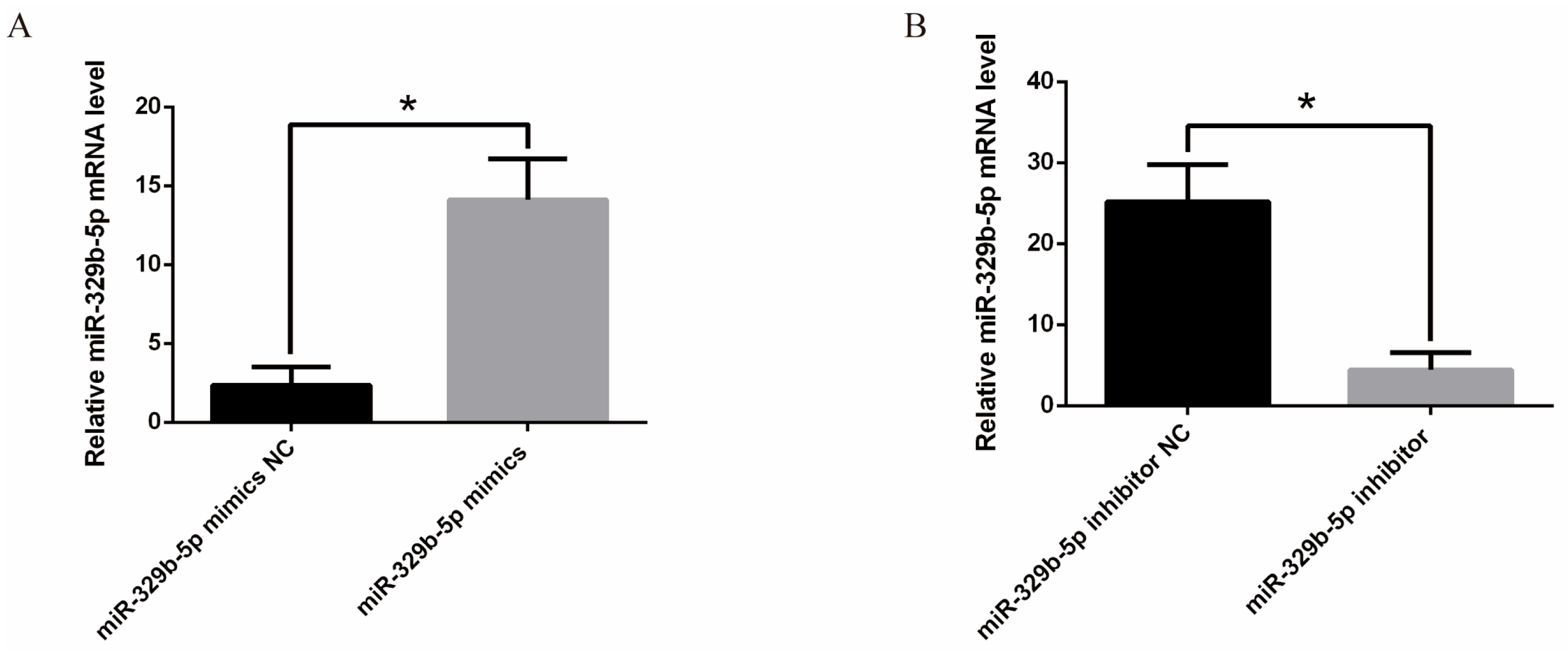 Vetsci 11 00206 g001