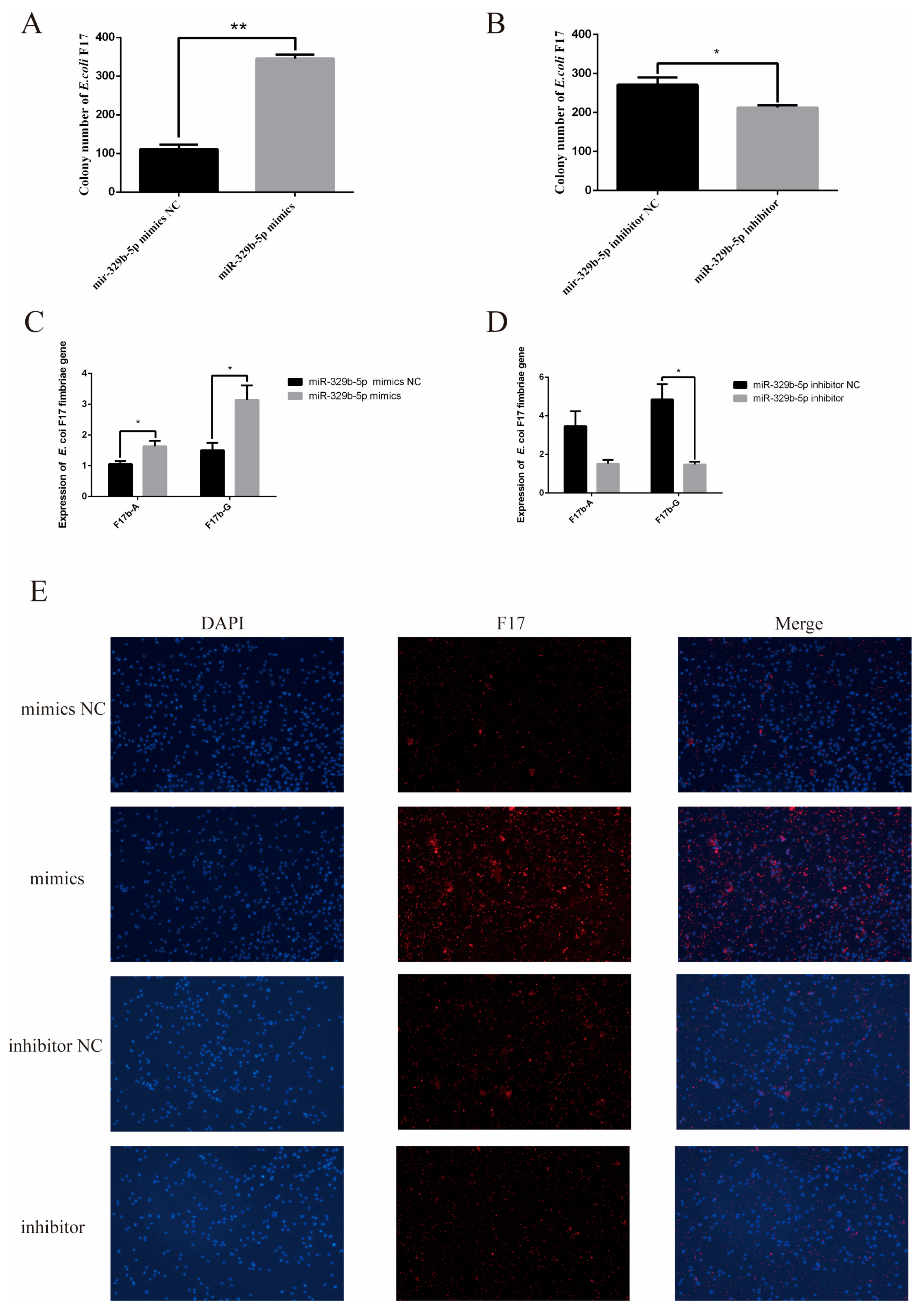 Vetsci 11 00206 g002