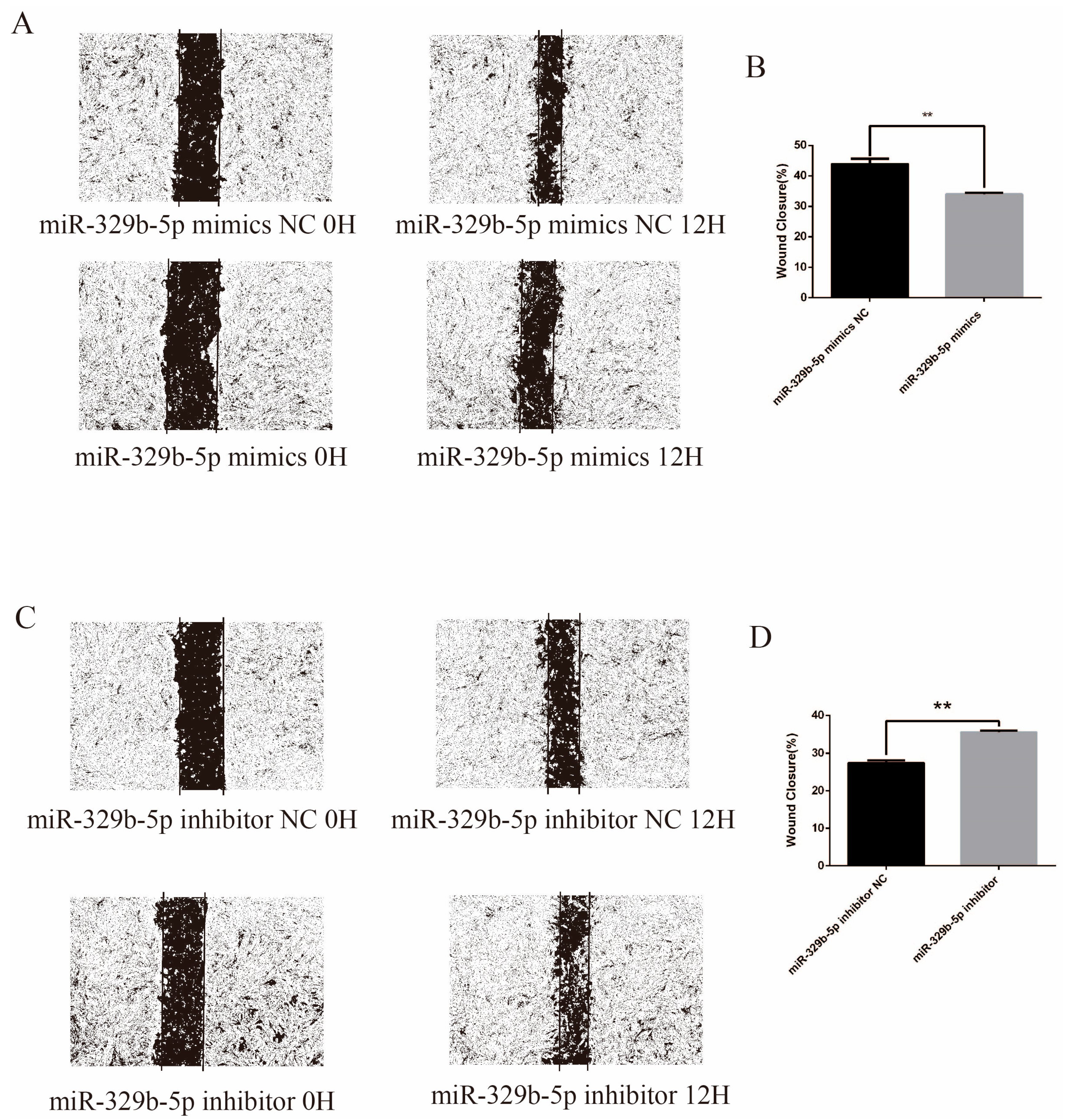 Vetsci 11 00206 g006
