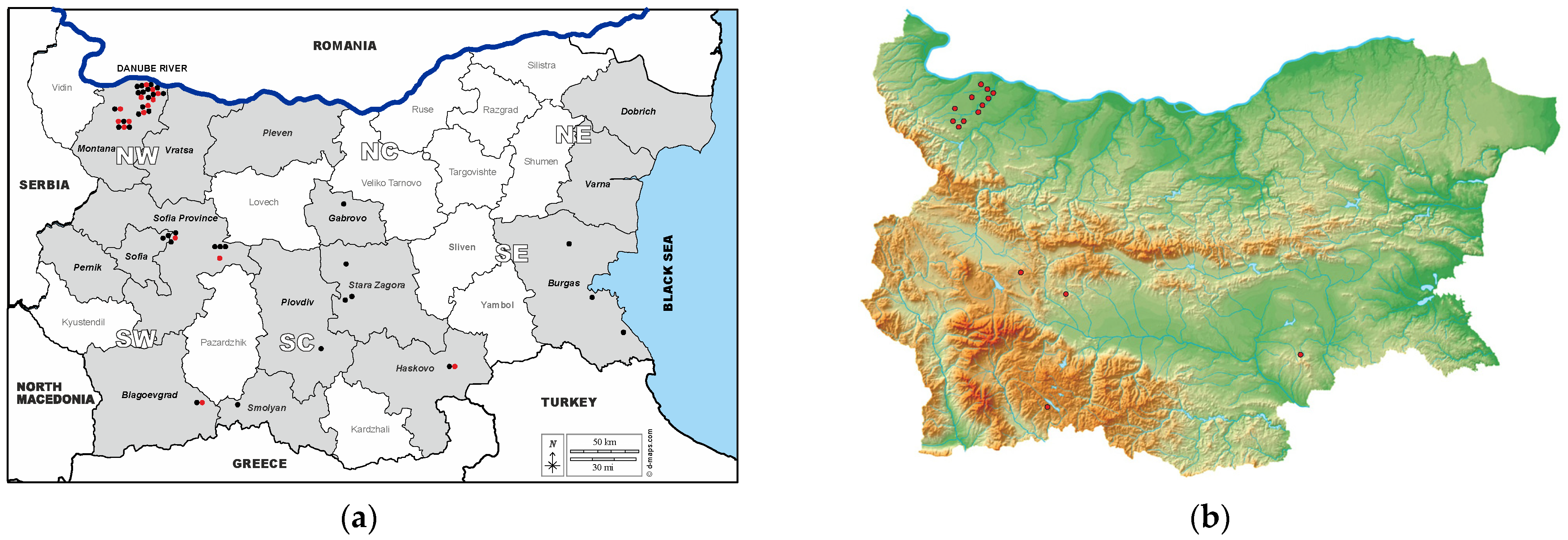 Vetsci 11 00209 g001 Vetsci 11 00209 g001