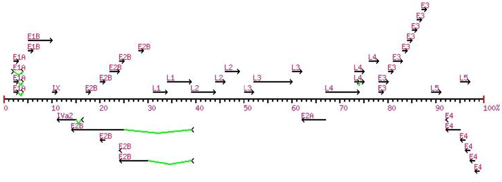 Viruses 02 00001 g001