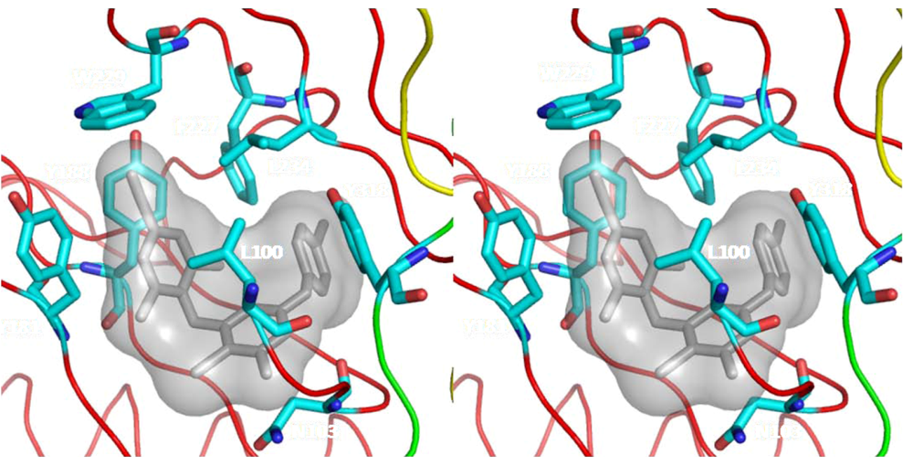 Viruses 02 00606 g007