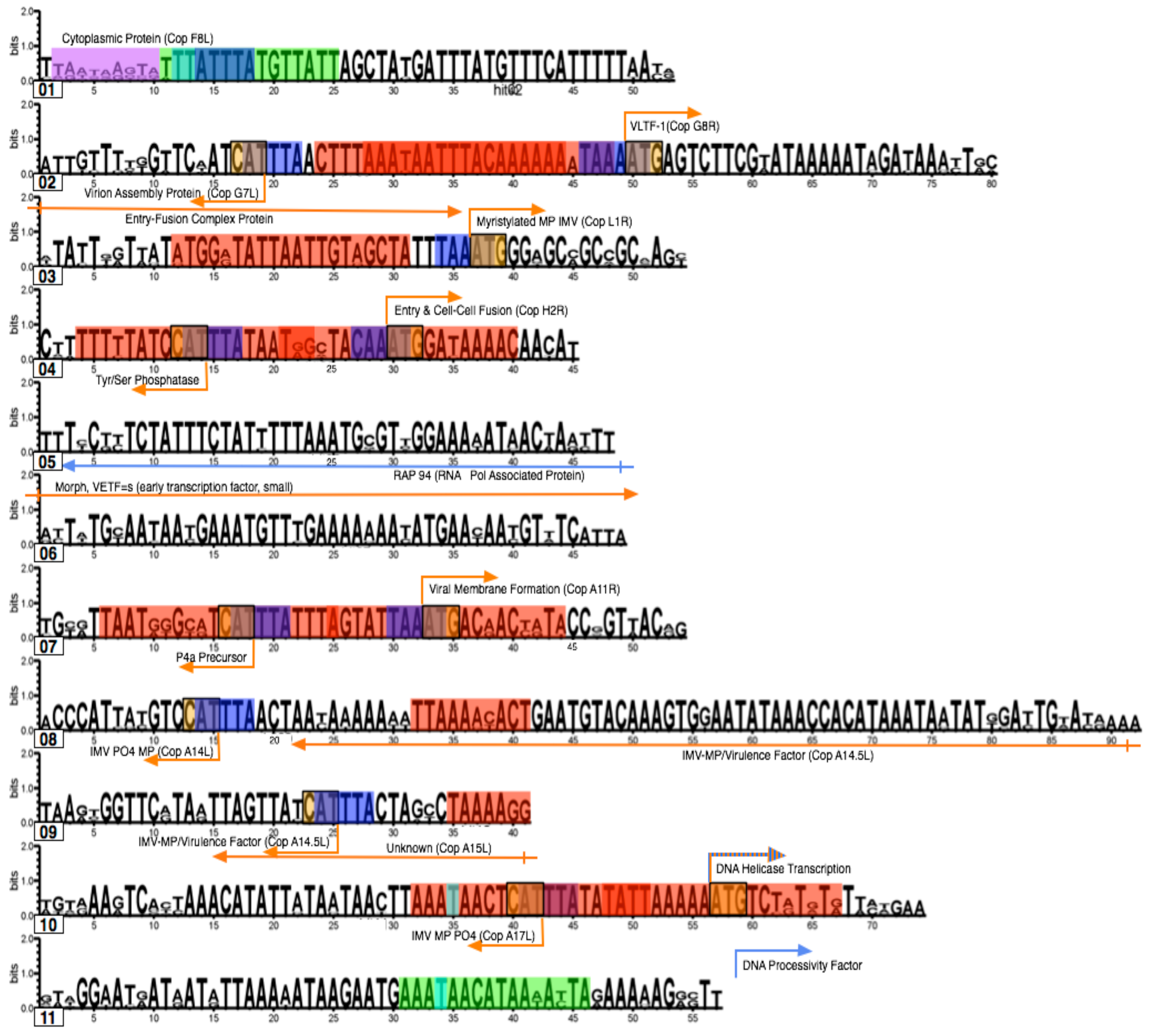 Viruses 02 01867 g005