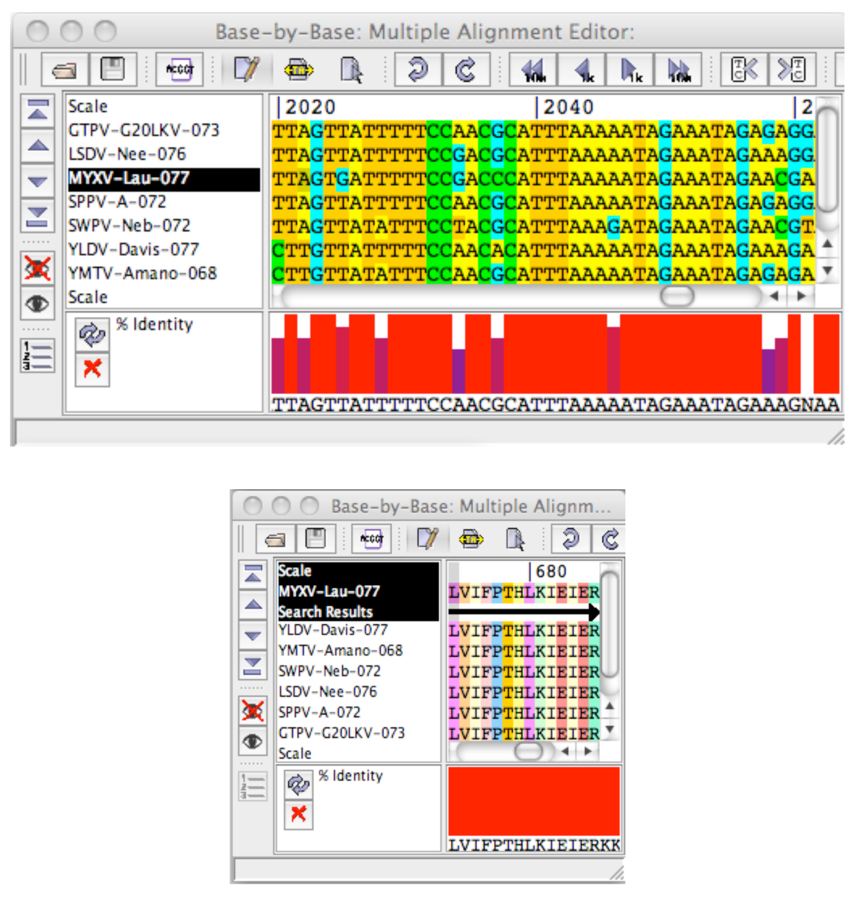 Viruses 02 01867 g008