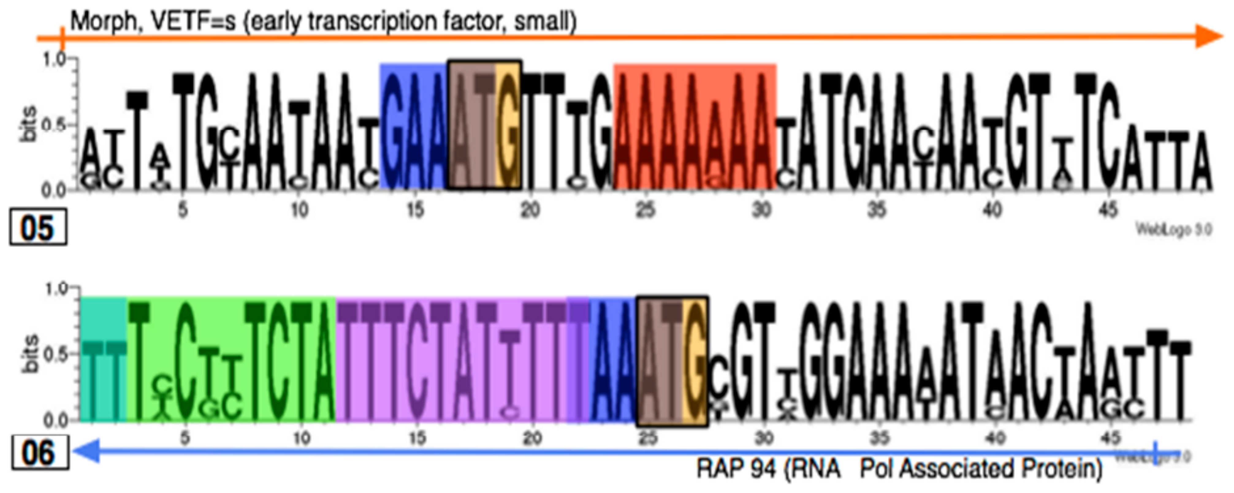 Viruses 02 01867 g010