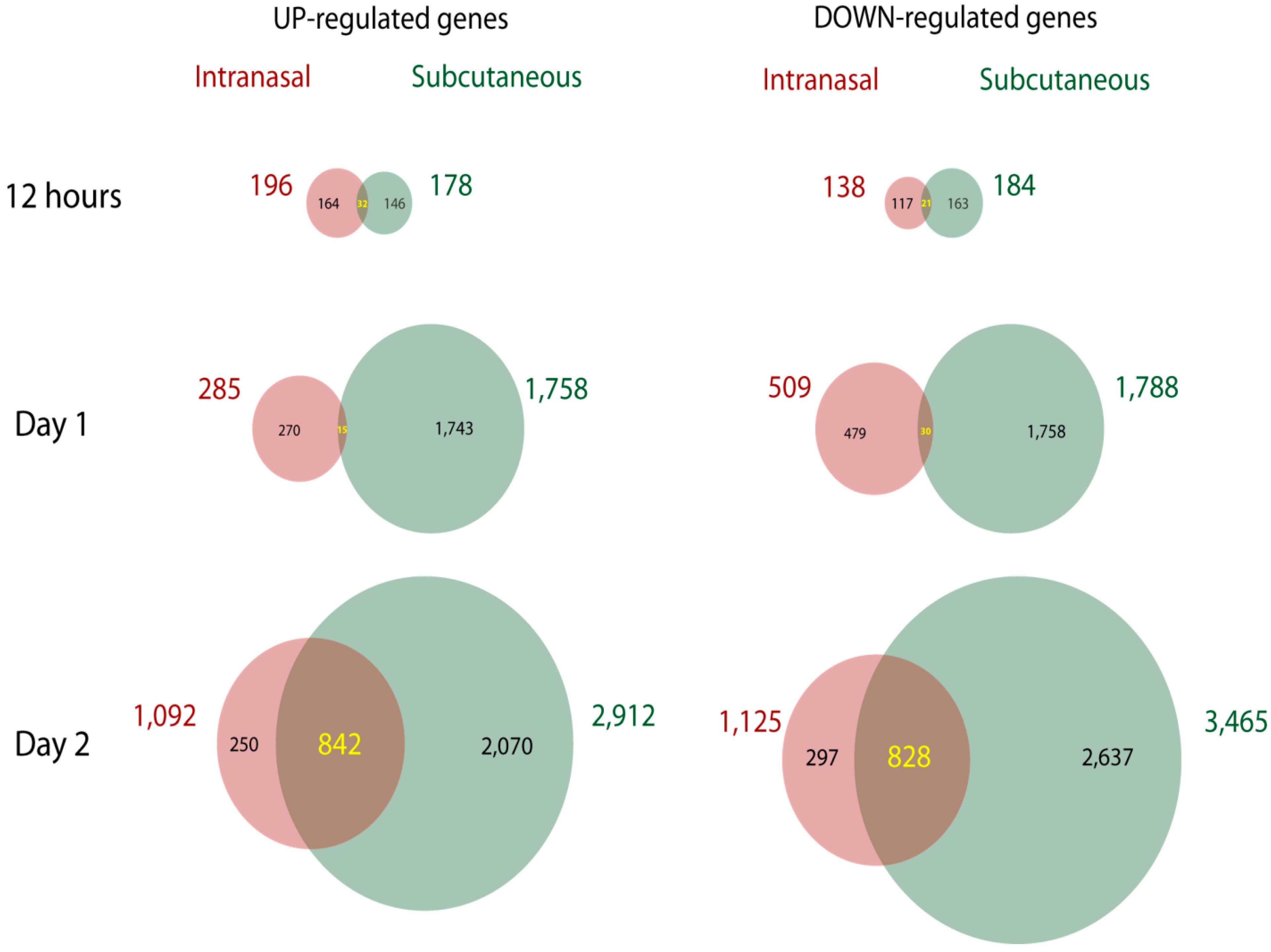 Viruses 02 01918 g002 Viruses 02 01918 g002