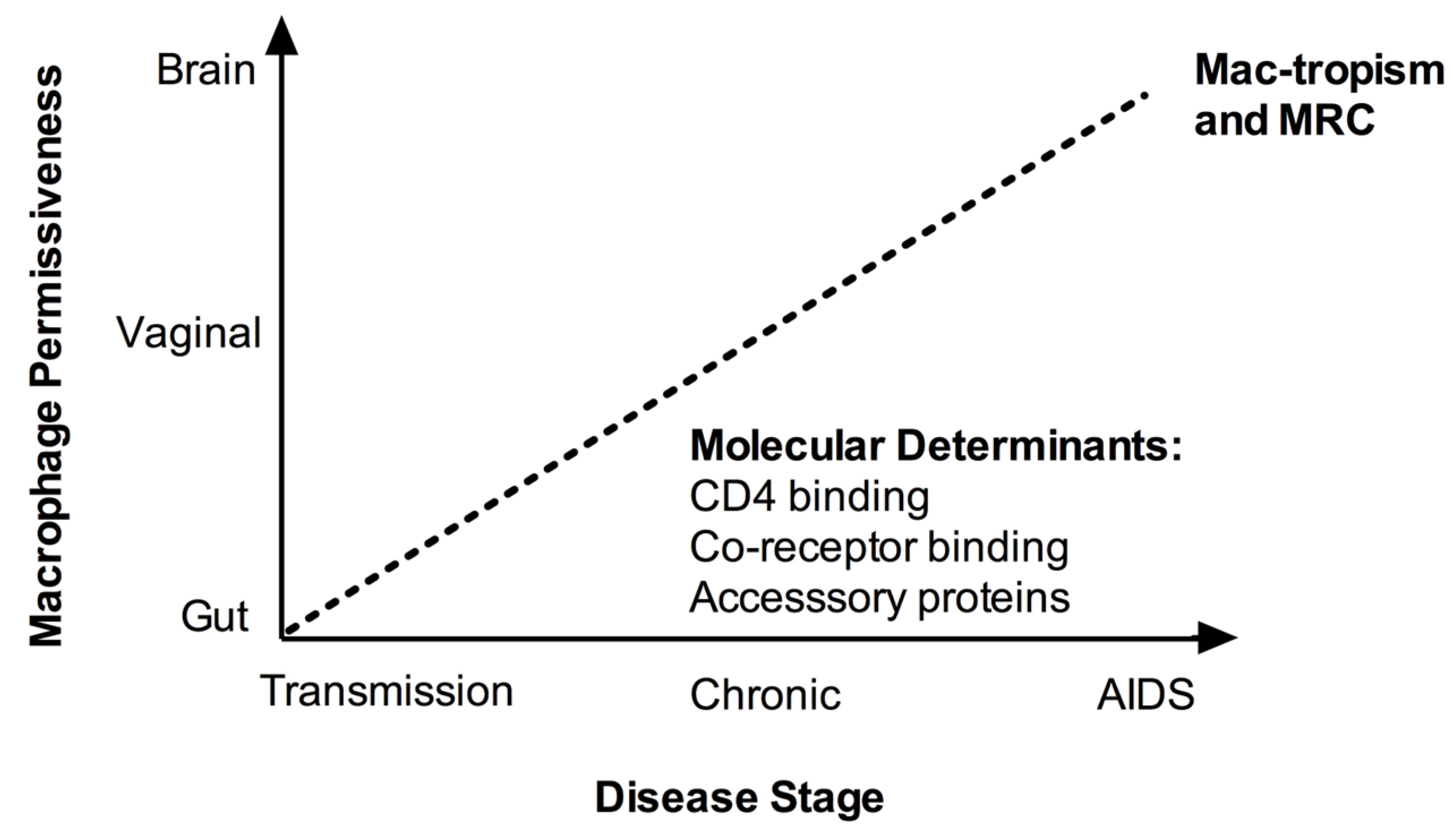 Viruses 03 02255 g001